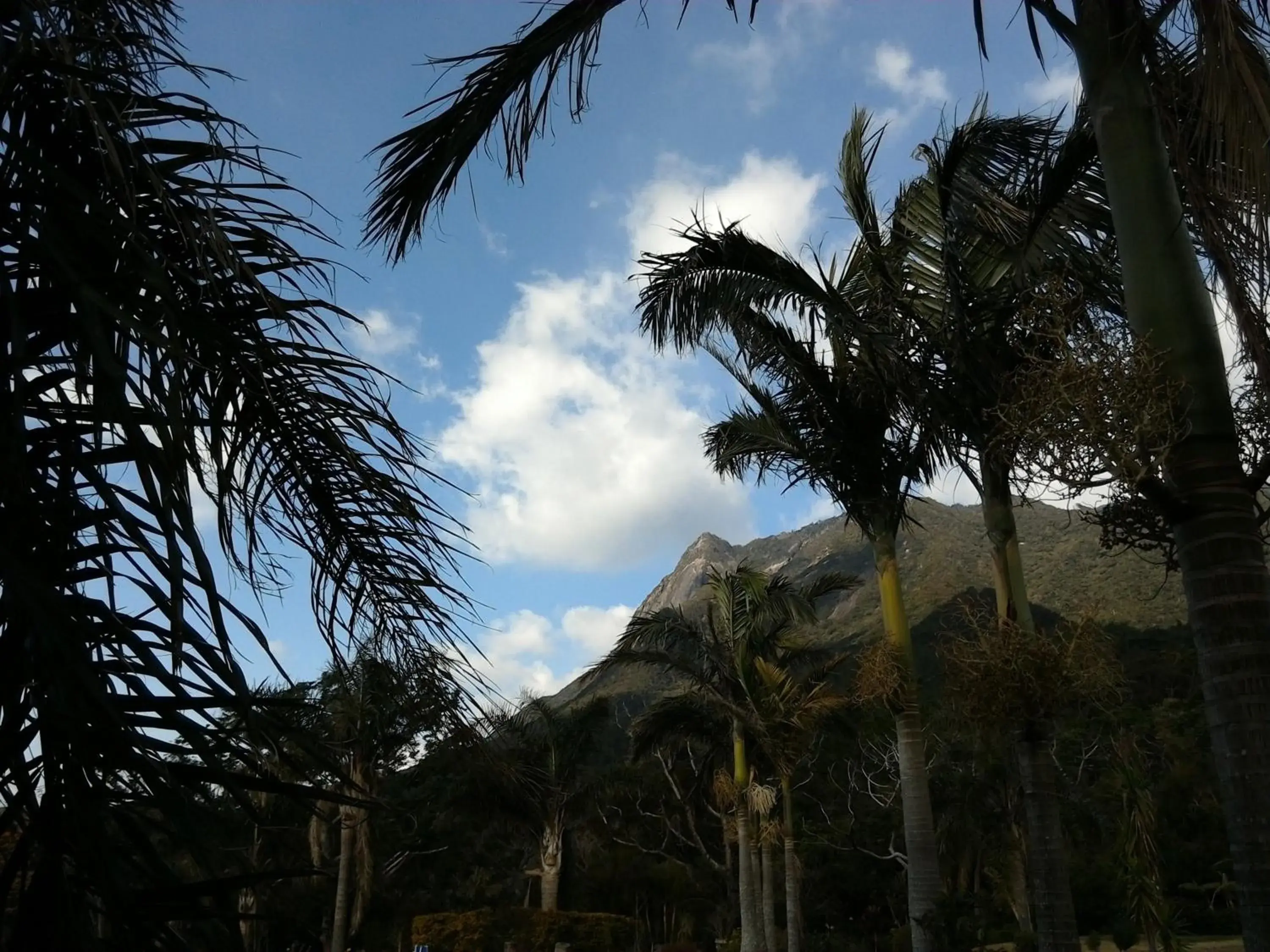 View (from property/room) in Hana Mana View (from property/room) in Hana Mana