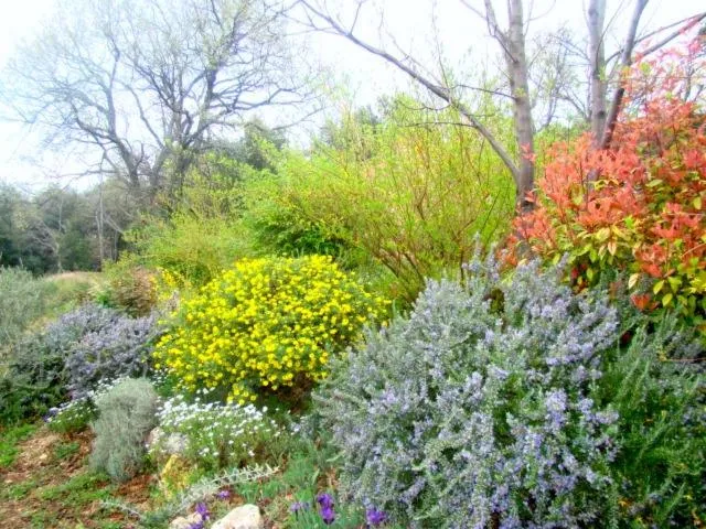 Garden in Chambres d'Hôtes de Curnier