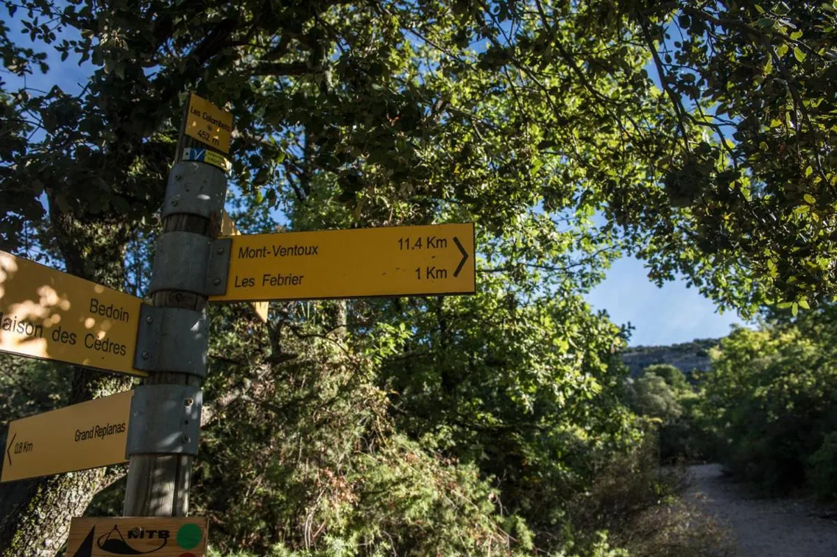 Other in Chambres d'Hôtes de Curnier