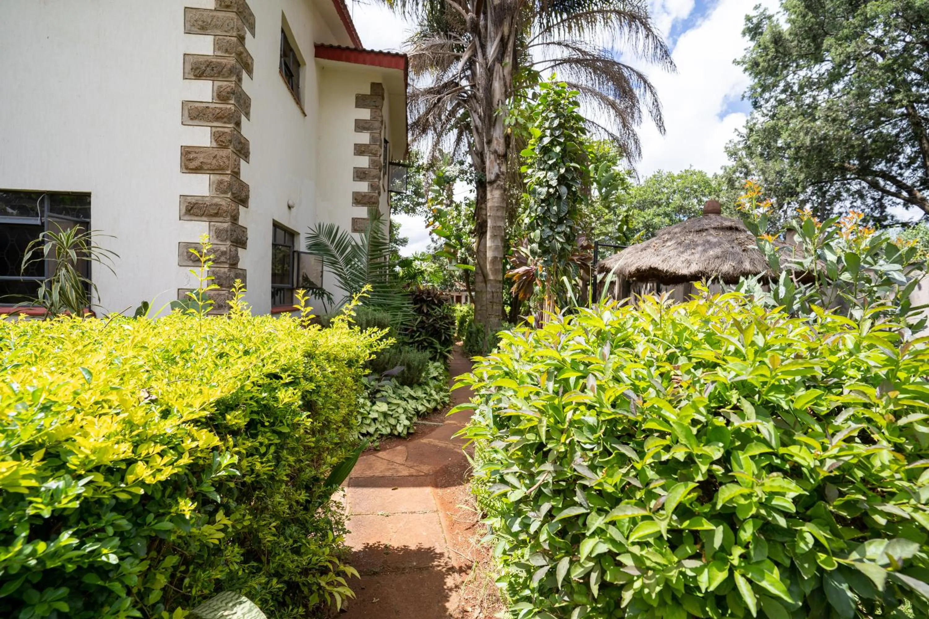 Garden in Bonsai Villa