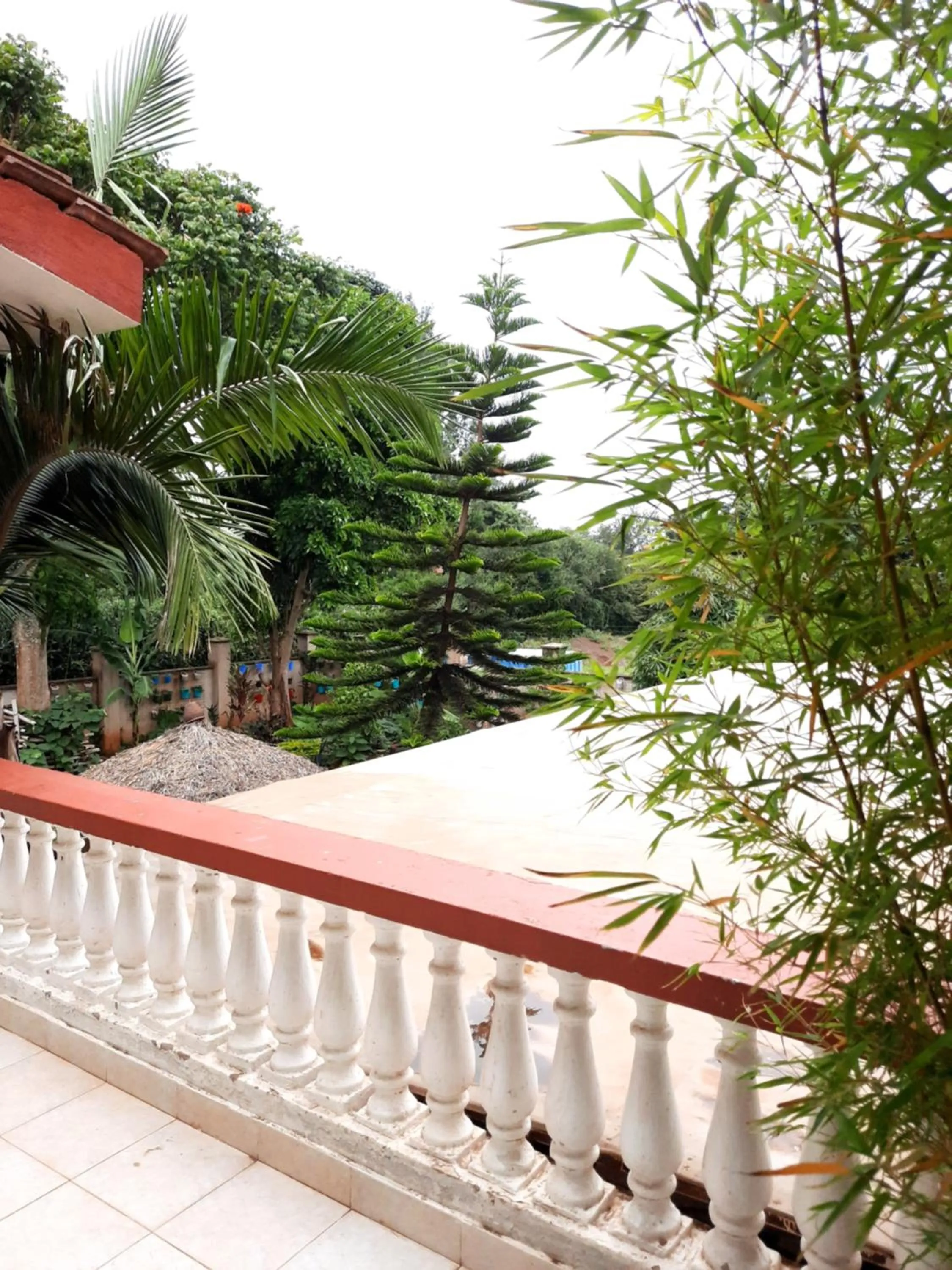 Balcony/Terrace in Bonsai Villa