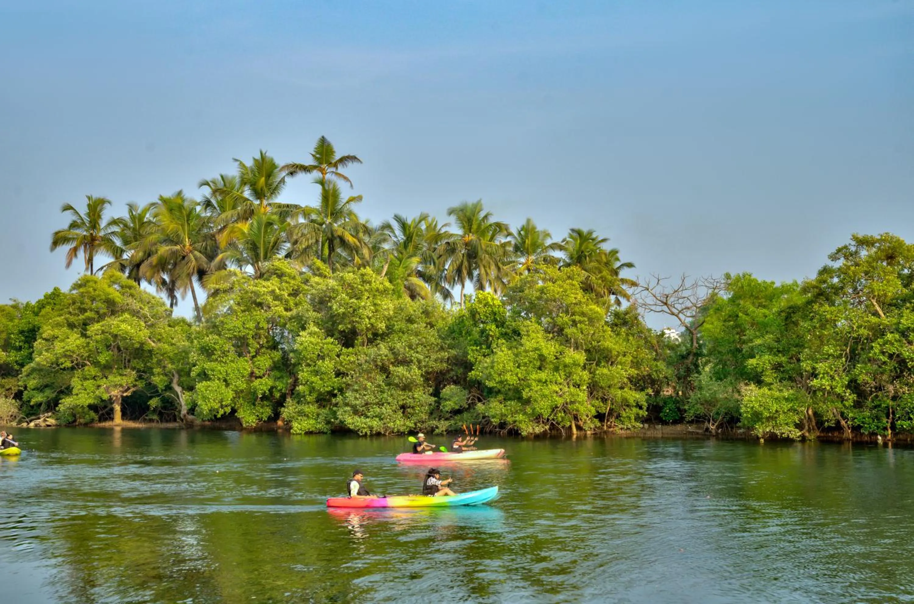 Mayonna Creek Side