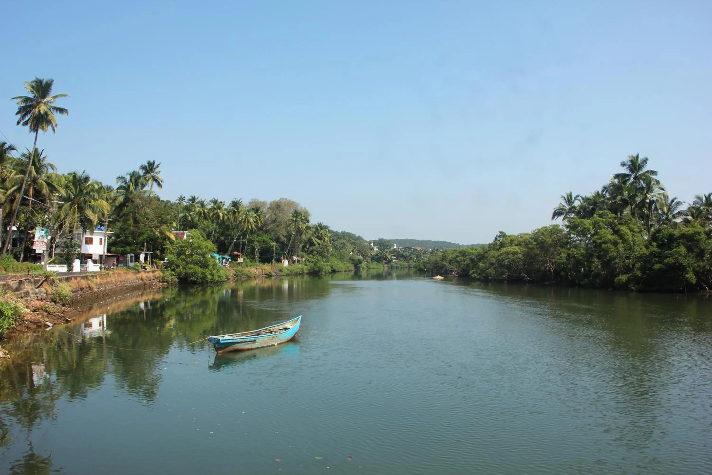 Mayonna Creek Side