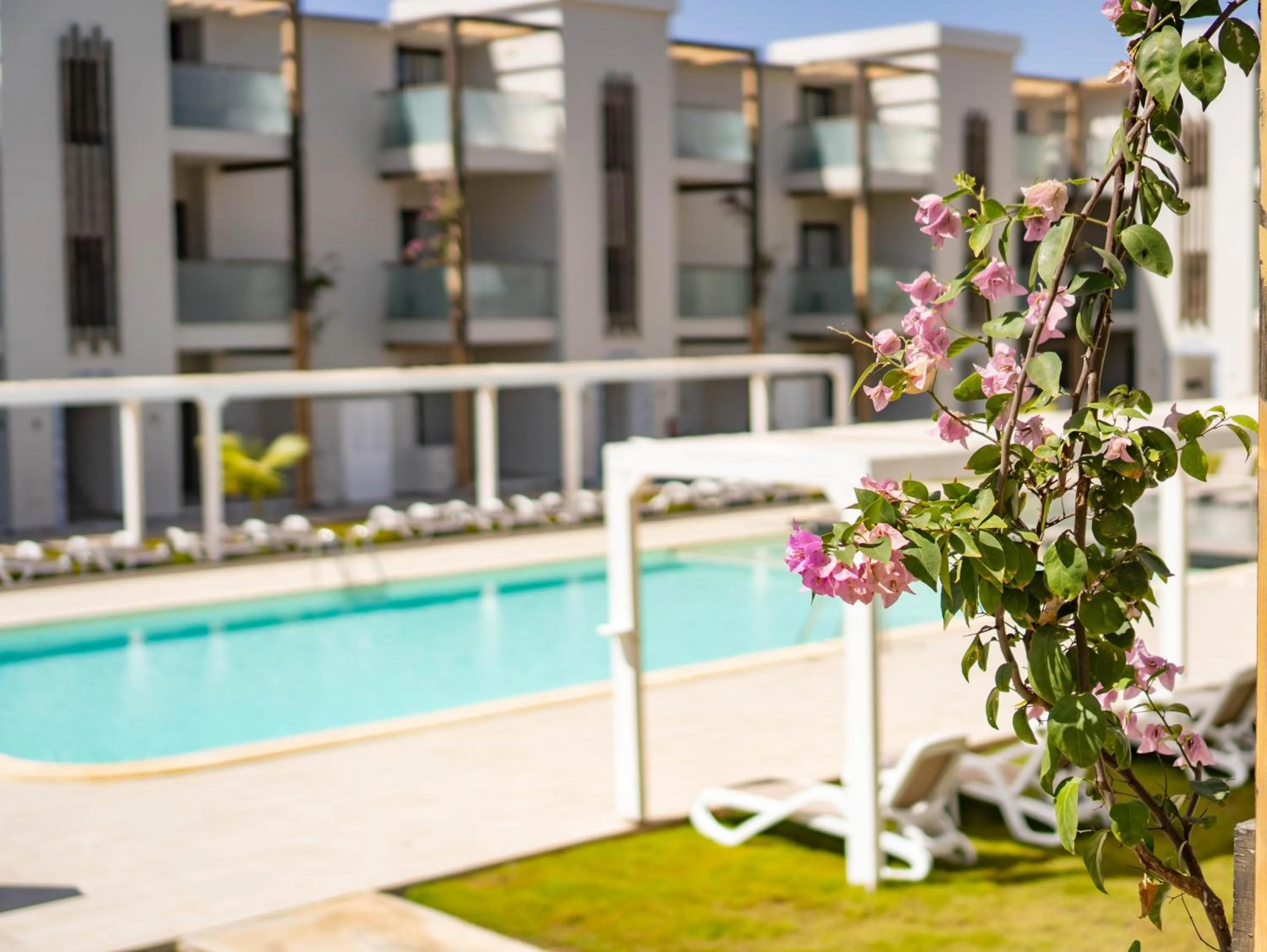 Pool view in Halos Casa Resort