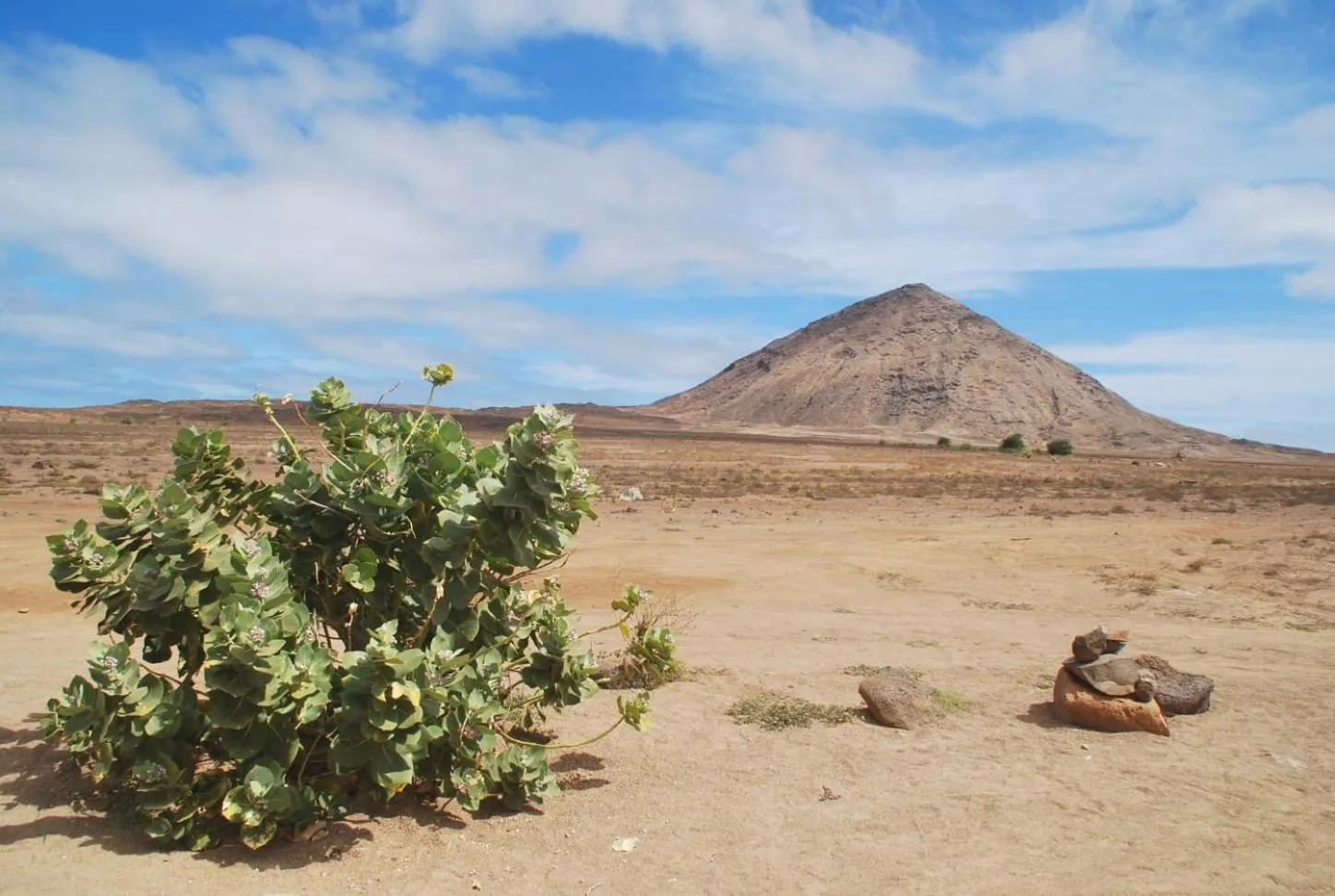 Natural landscape in Halos Casa Resort