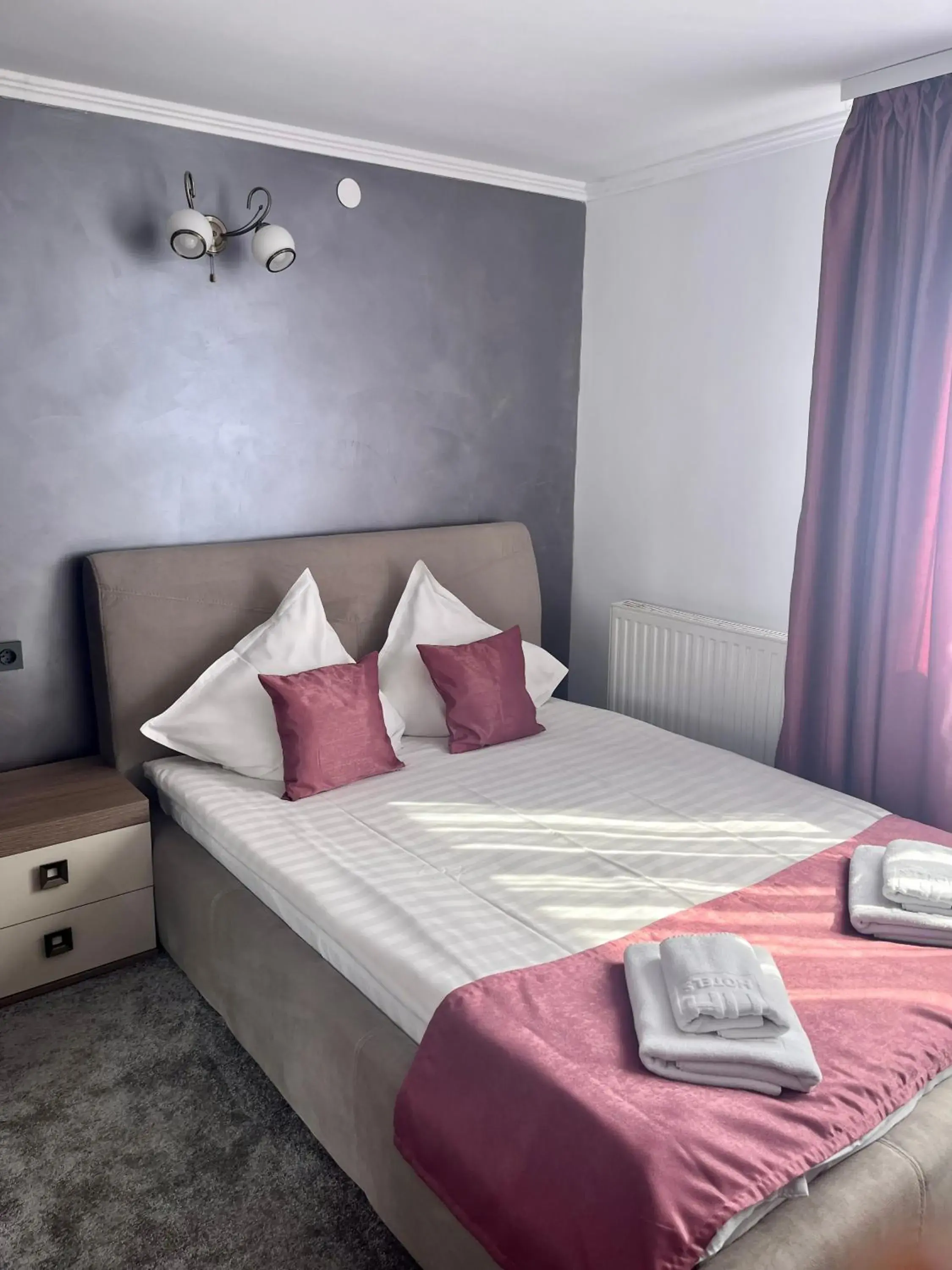 Double Room in Pensiunea Eden Double Room in Pensiunea Eden