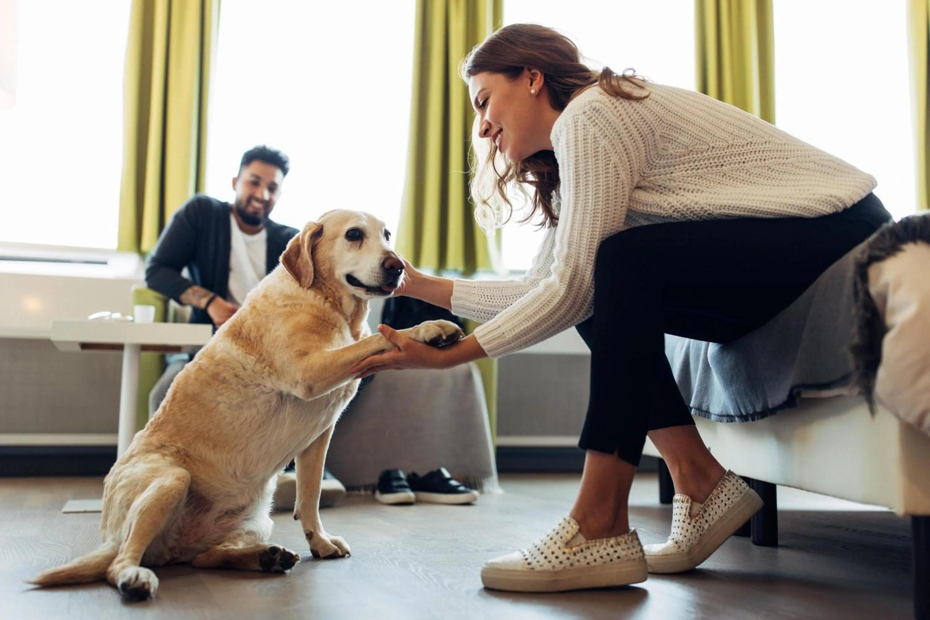 Pets in harry's home Wien hotel & apartments