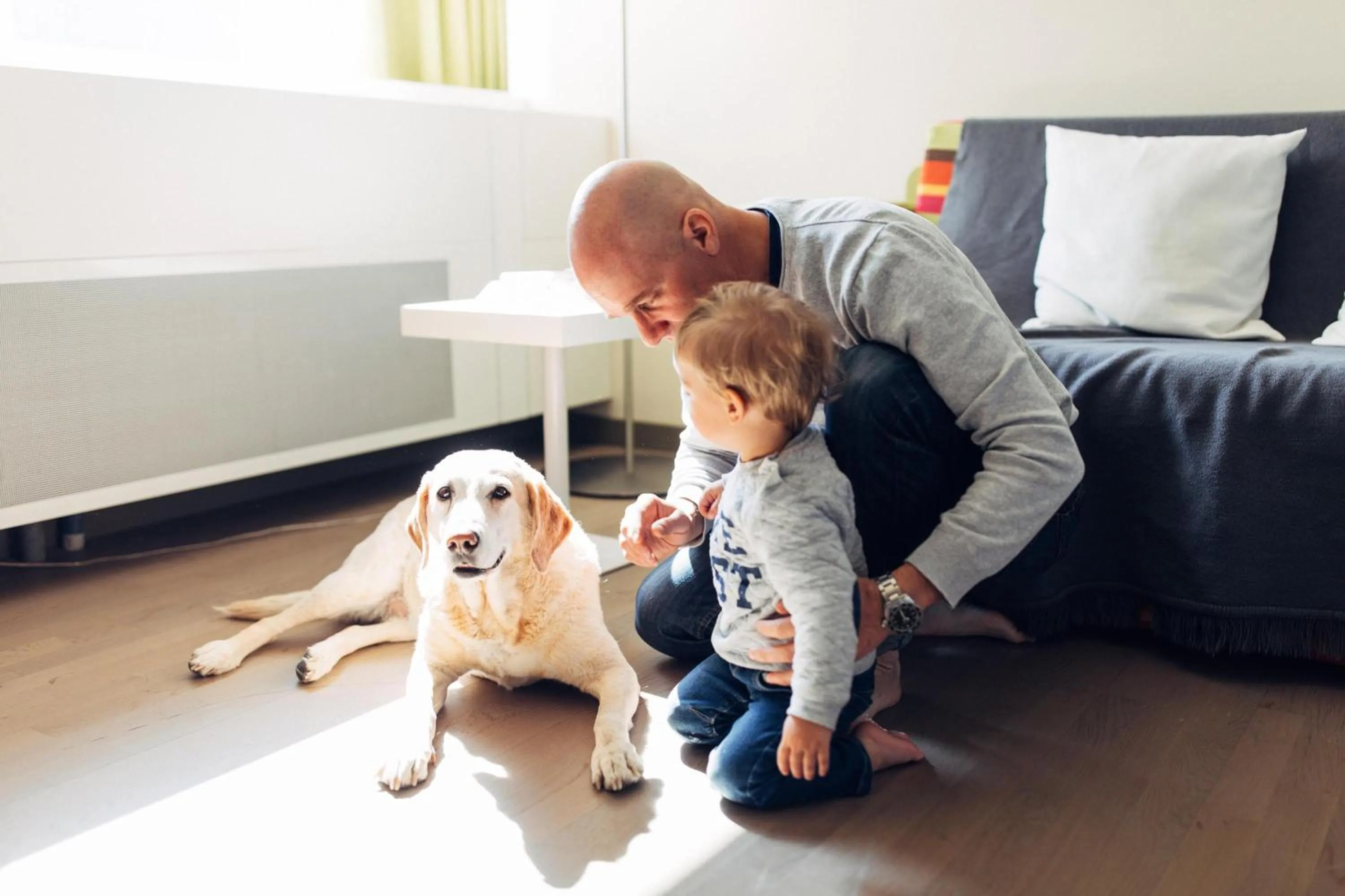 Pets in harry's home Wien hotel & apartments