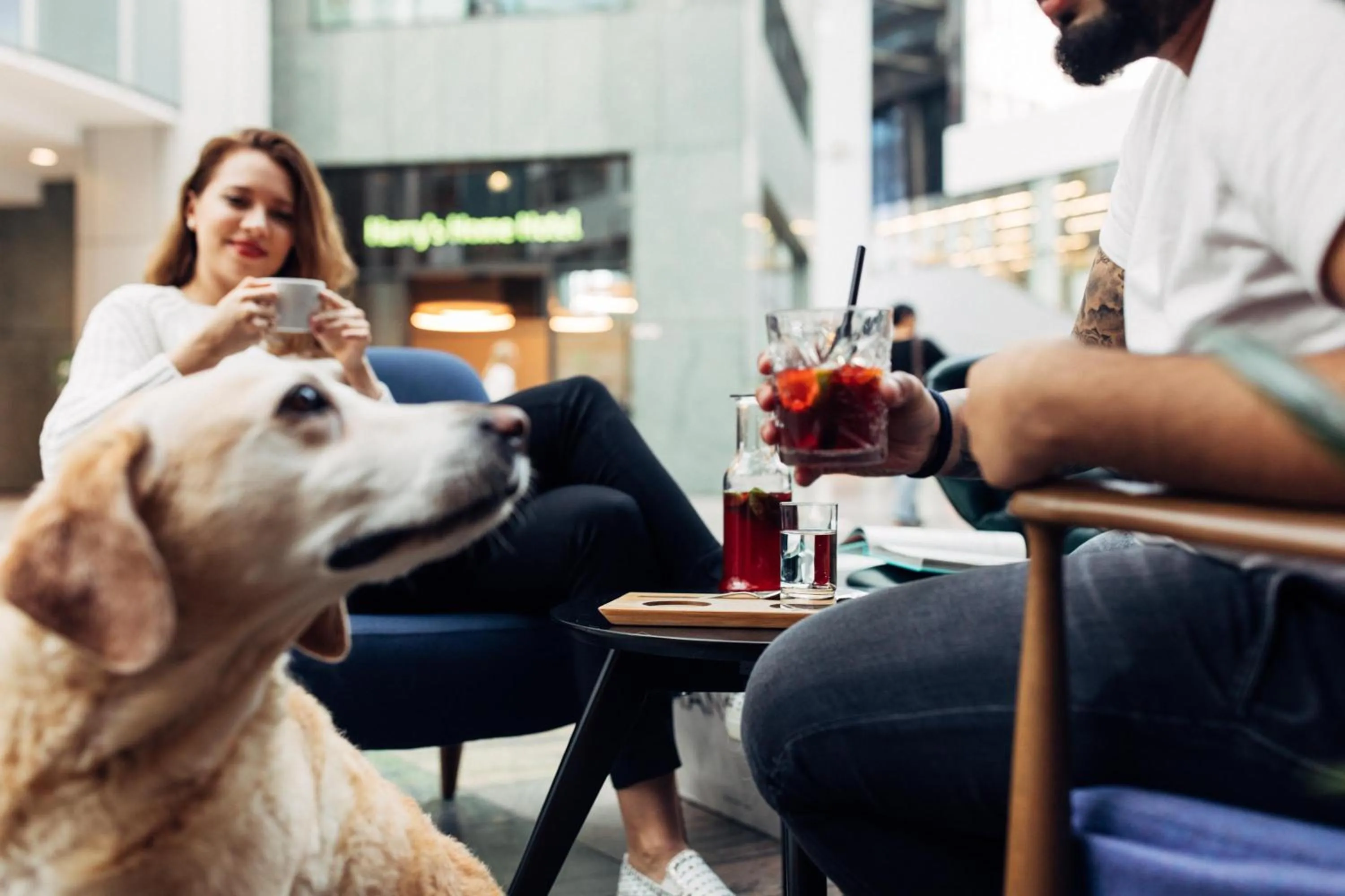 Pets in harry's home Wien hotel & apartments