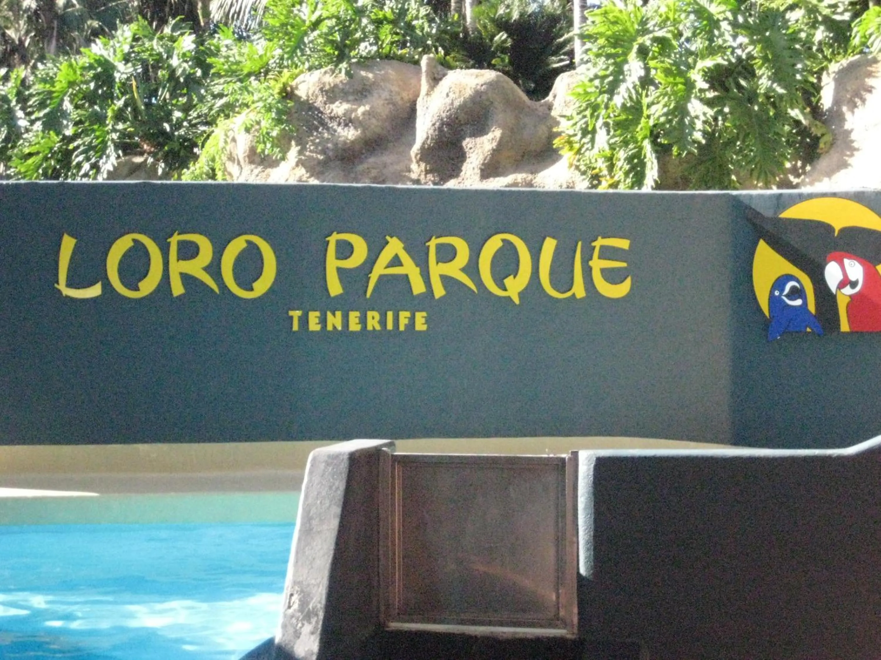Paula Pool Apartment Adeje
