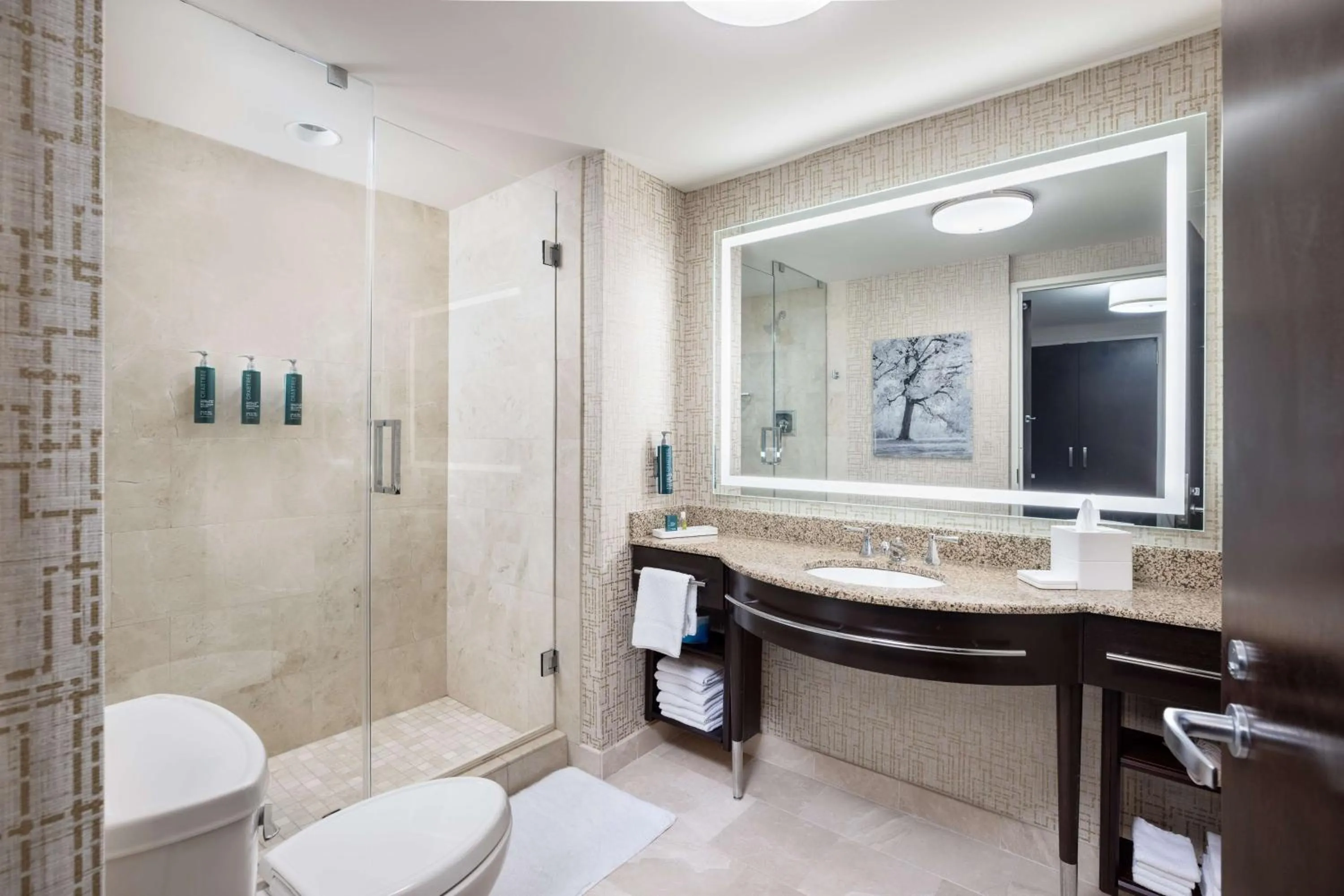 Bathroom in Hilton Americas - Houston