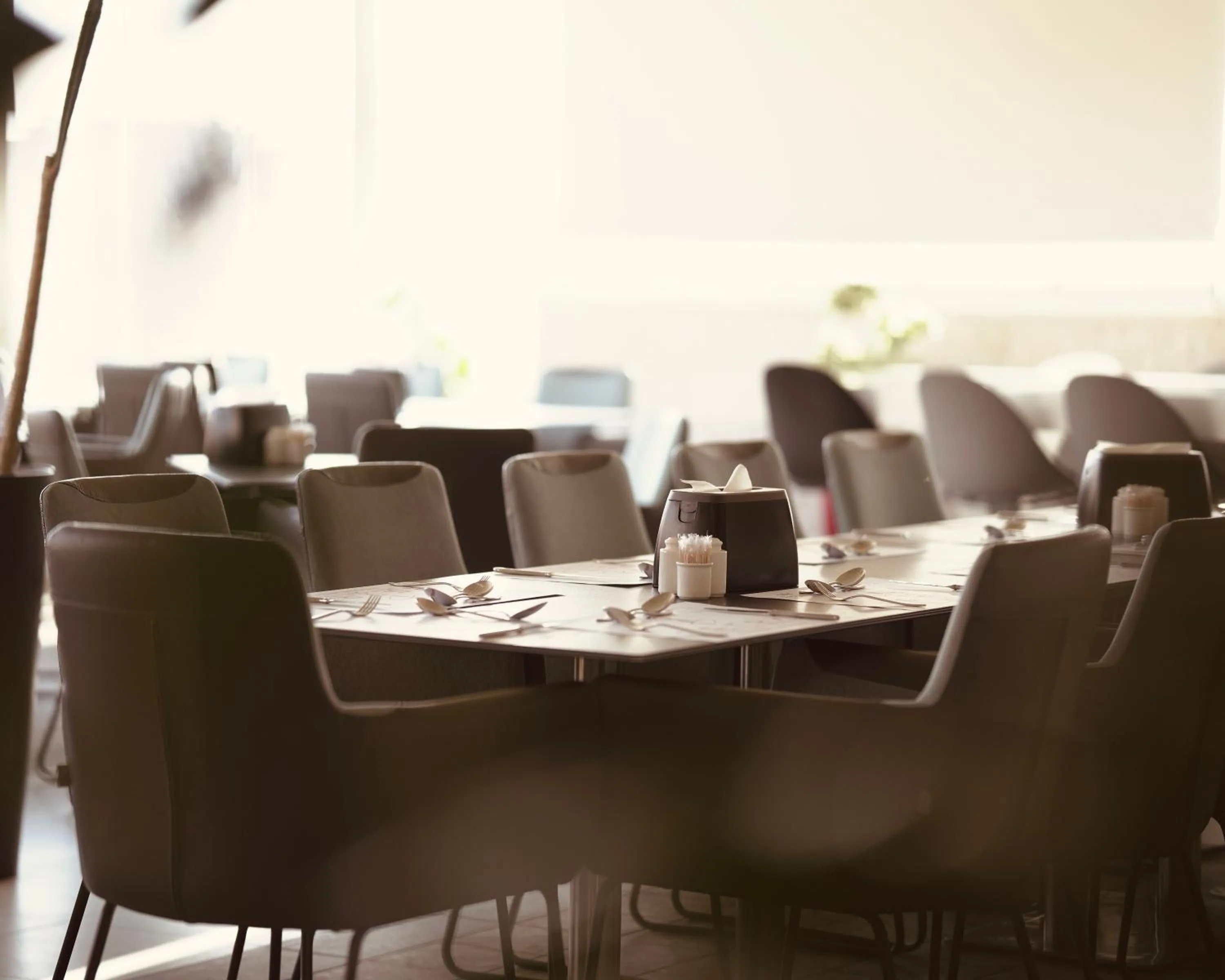 Restaurant/places to eat in Petra Boutique Hotel