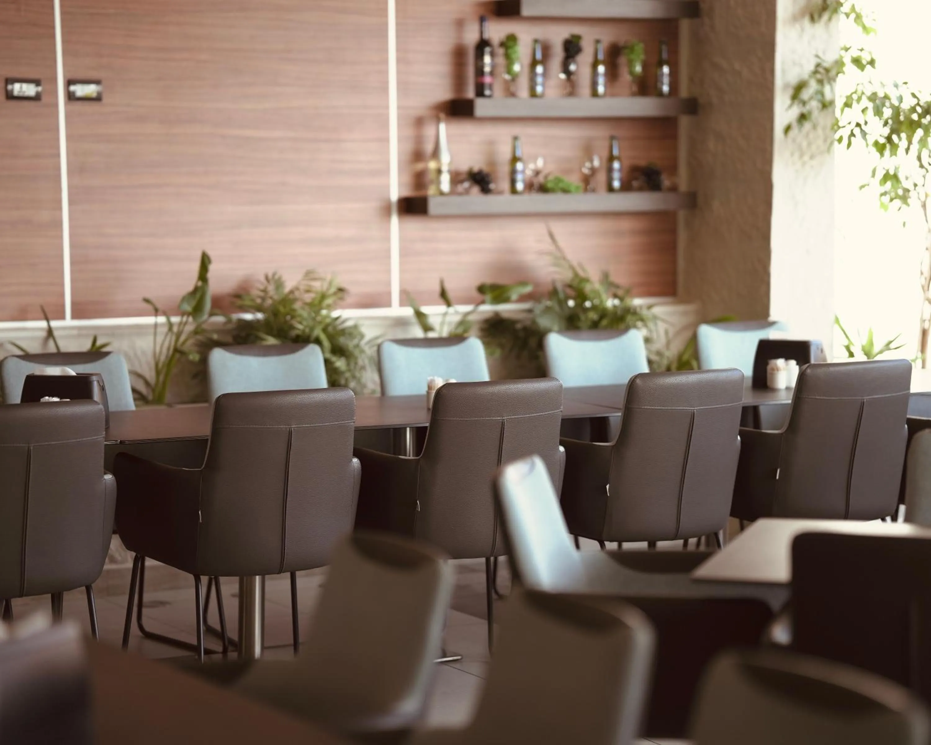 Restaurant/places to eat in Petra Boutique Hotel