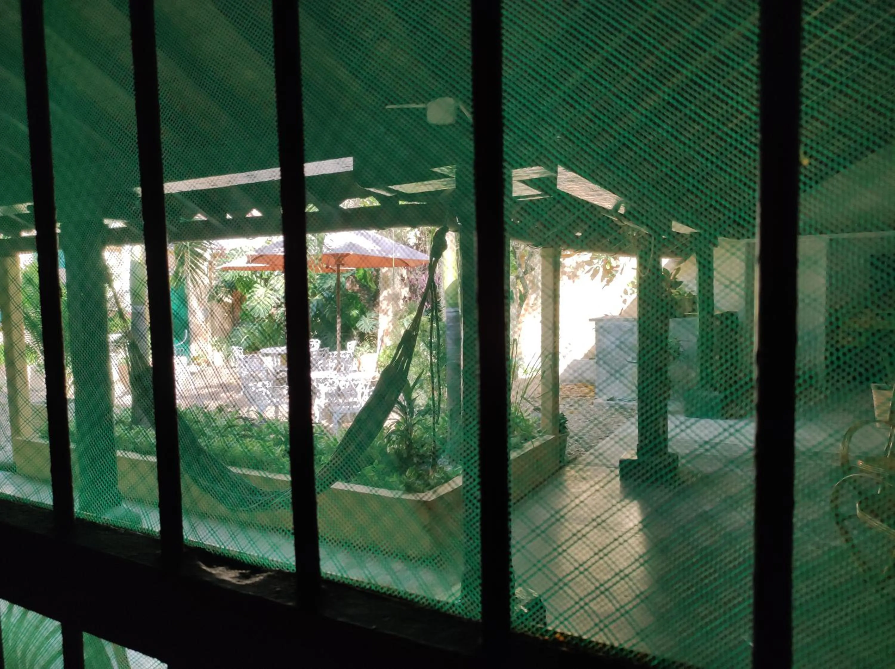 Garden view in HOTEL NIETO MOMPOX, ubicado en el corazón del centro histórico, frente al rio magdalena en zona de malecón