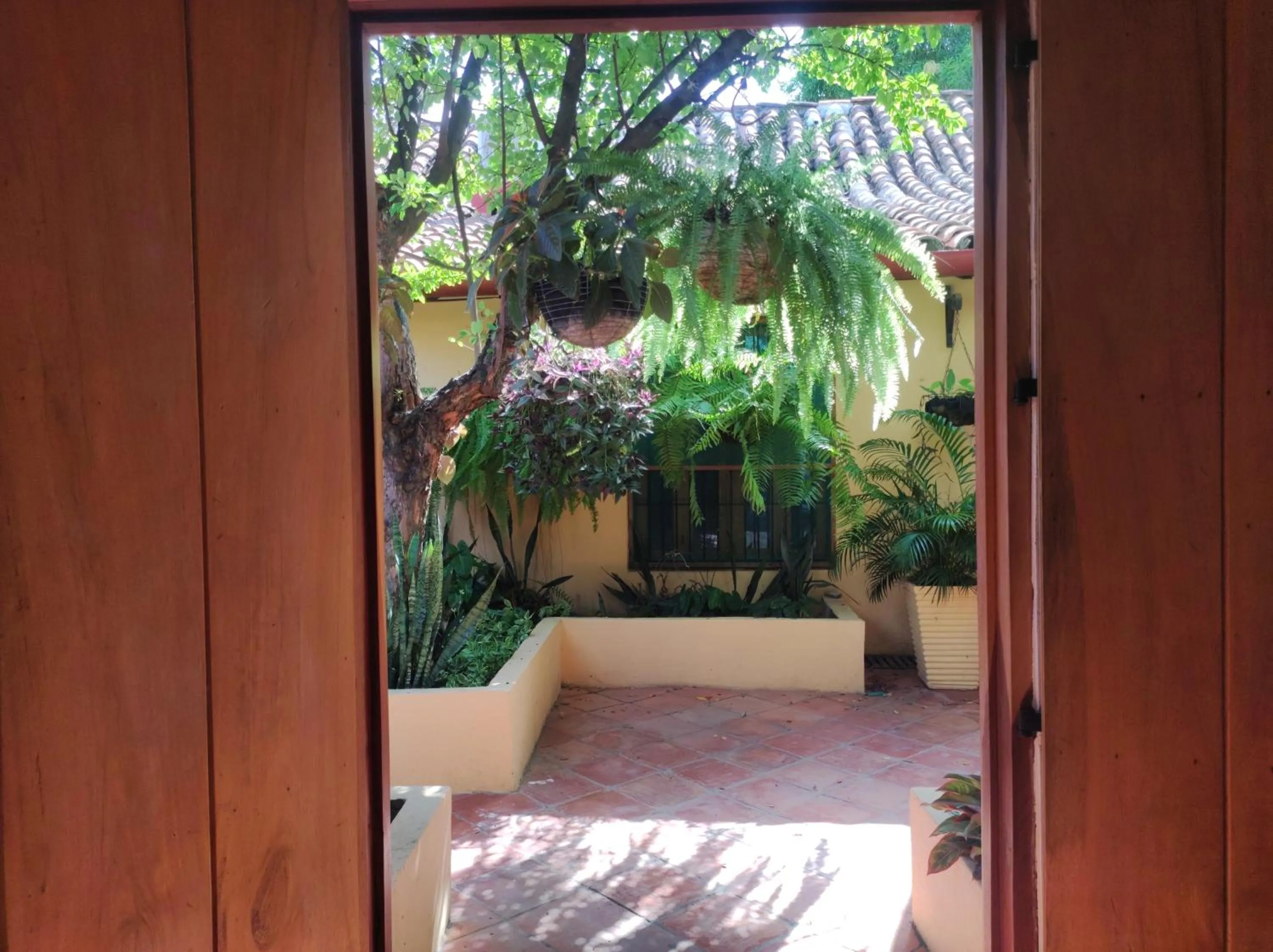 Garden view in HOTEL NIETO MOMPOX, ubicado en el corazón del centro histórico, frente al rio magdalena en zona de malecón