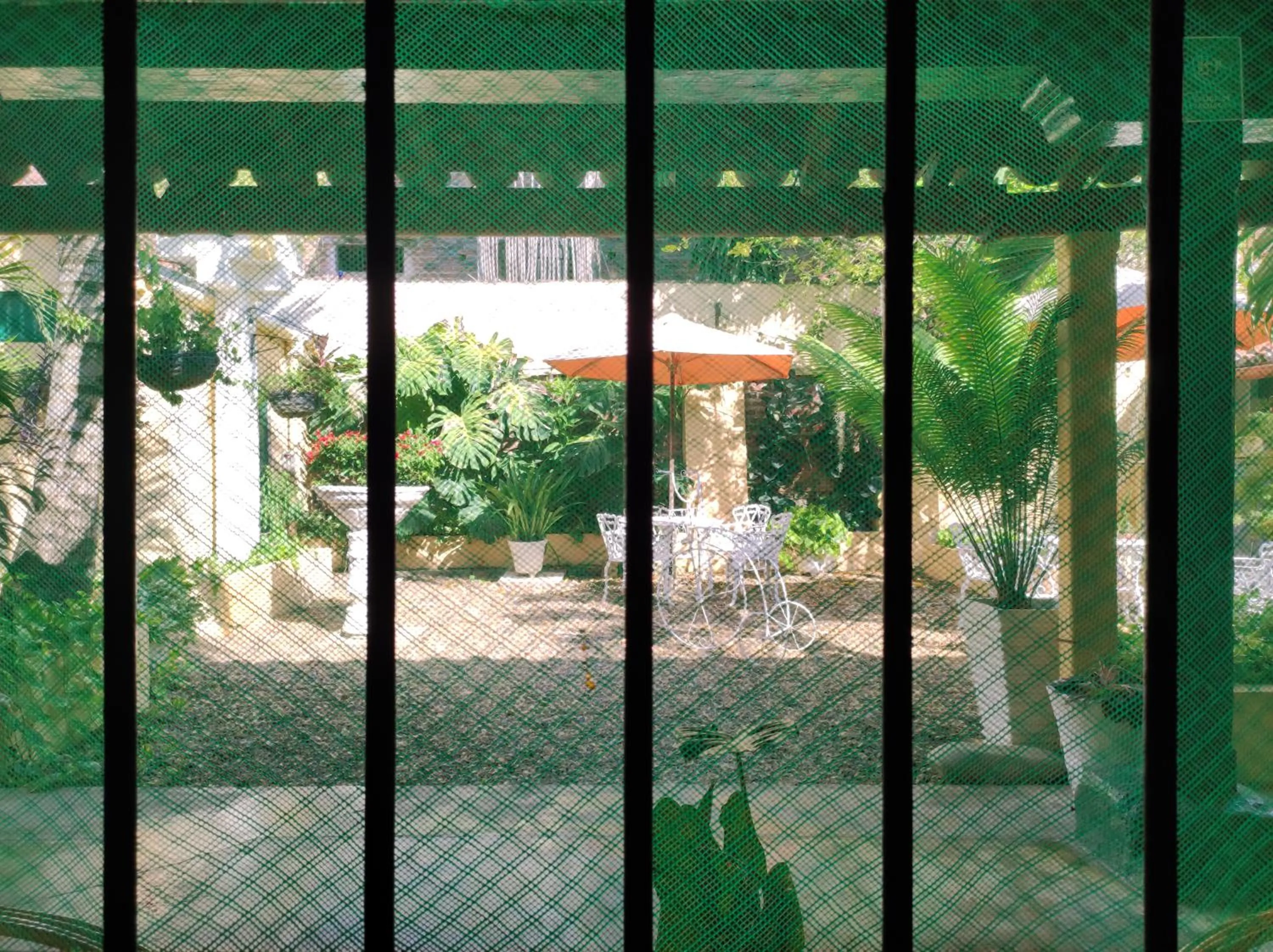 Garden in HOTEL NIETO MOMPOX, ubicado en el corazón del centro histórico, frente al rio magdalena en zona de malecón