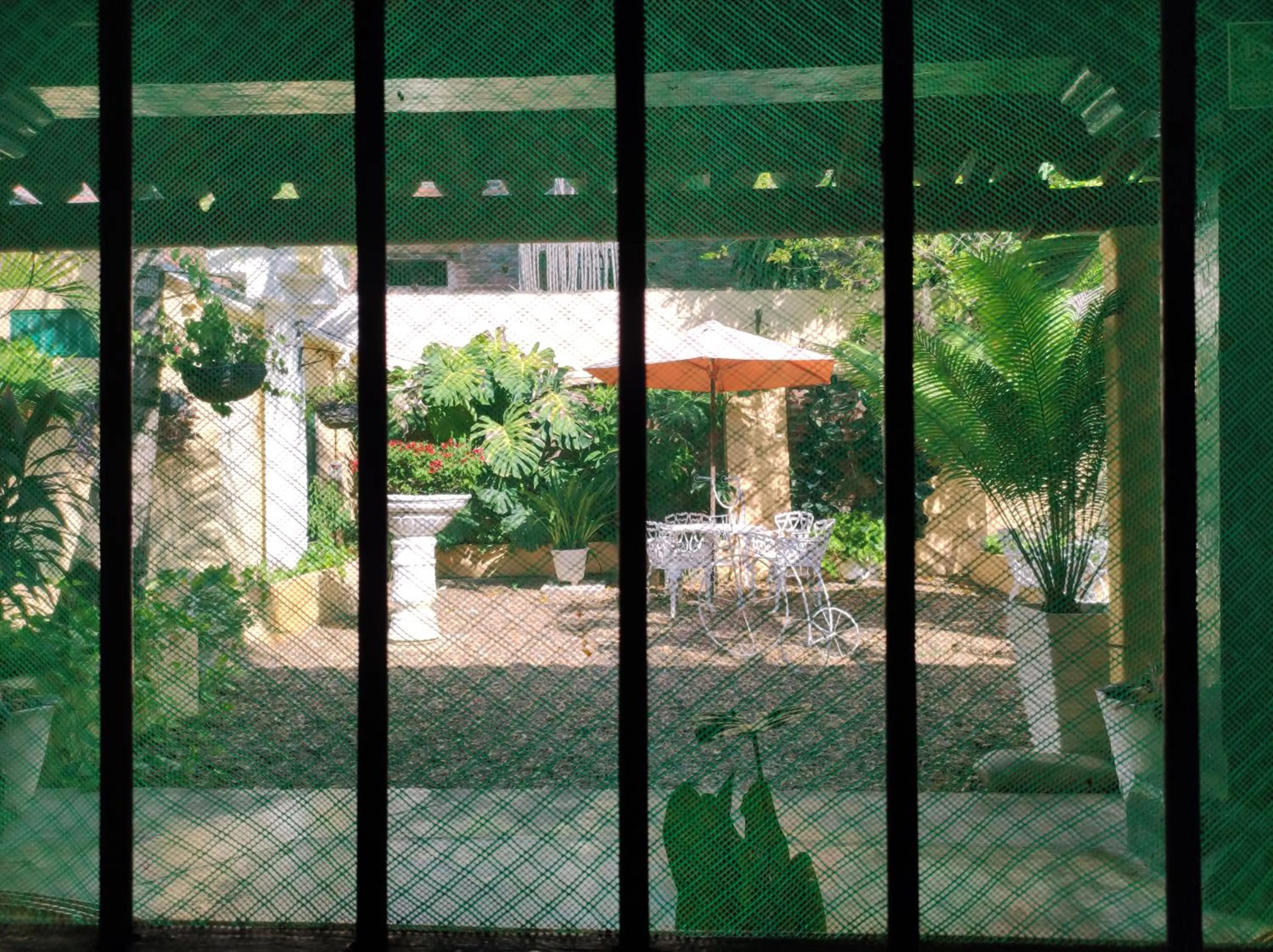 Garden view in HOTEL NIETO MOMPOX, ubicado en el corazón del centro histórico, frente al rio magdalena en zona de malecón