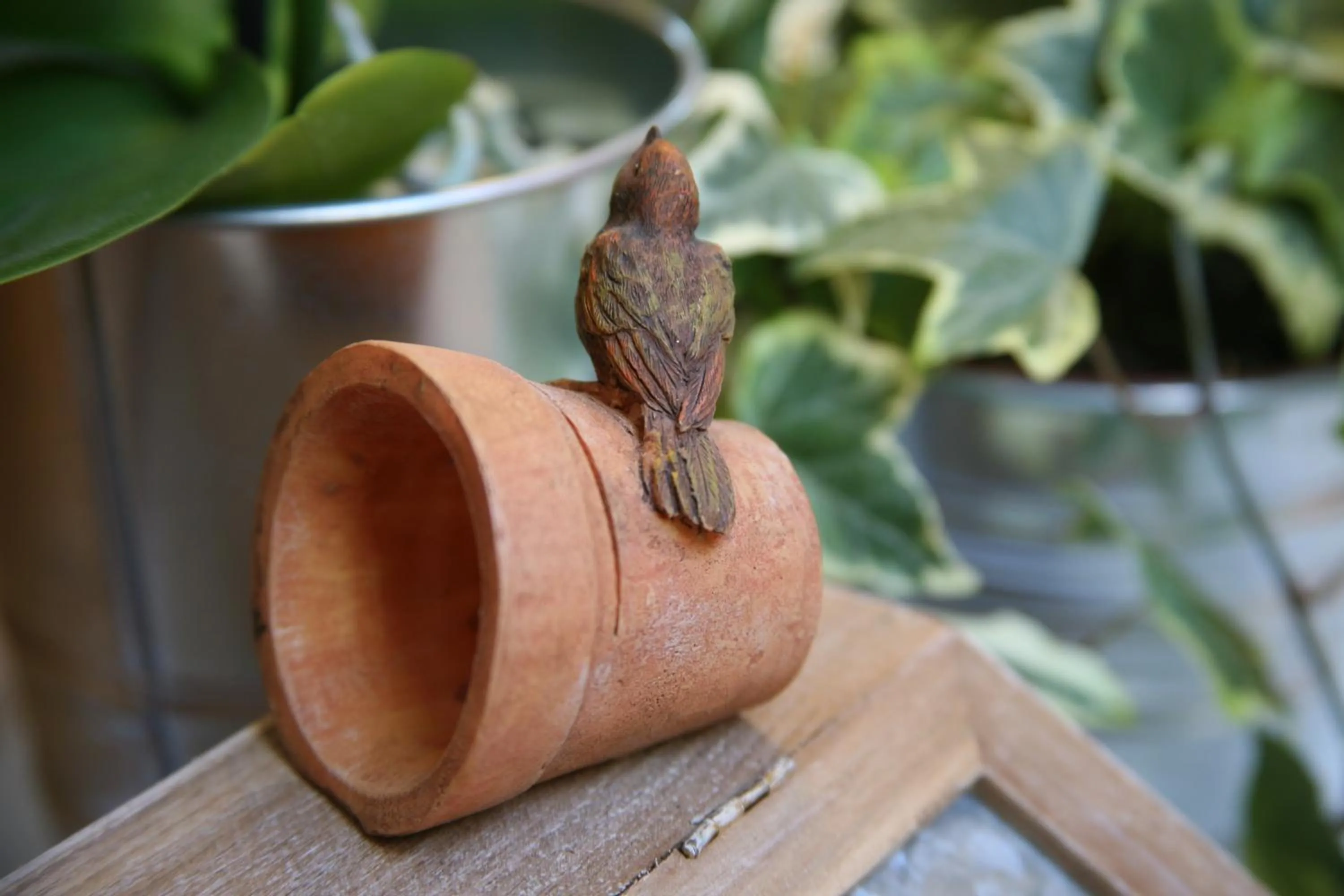 Other in Chambres "Au Jardin"