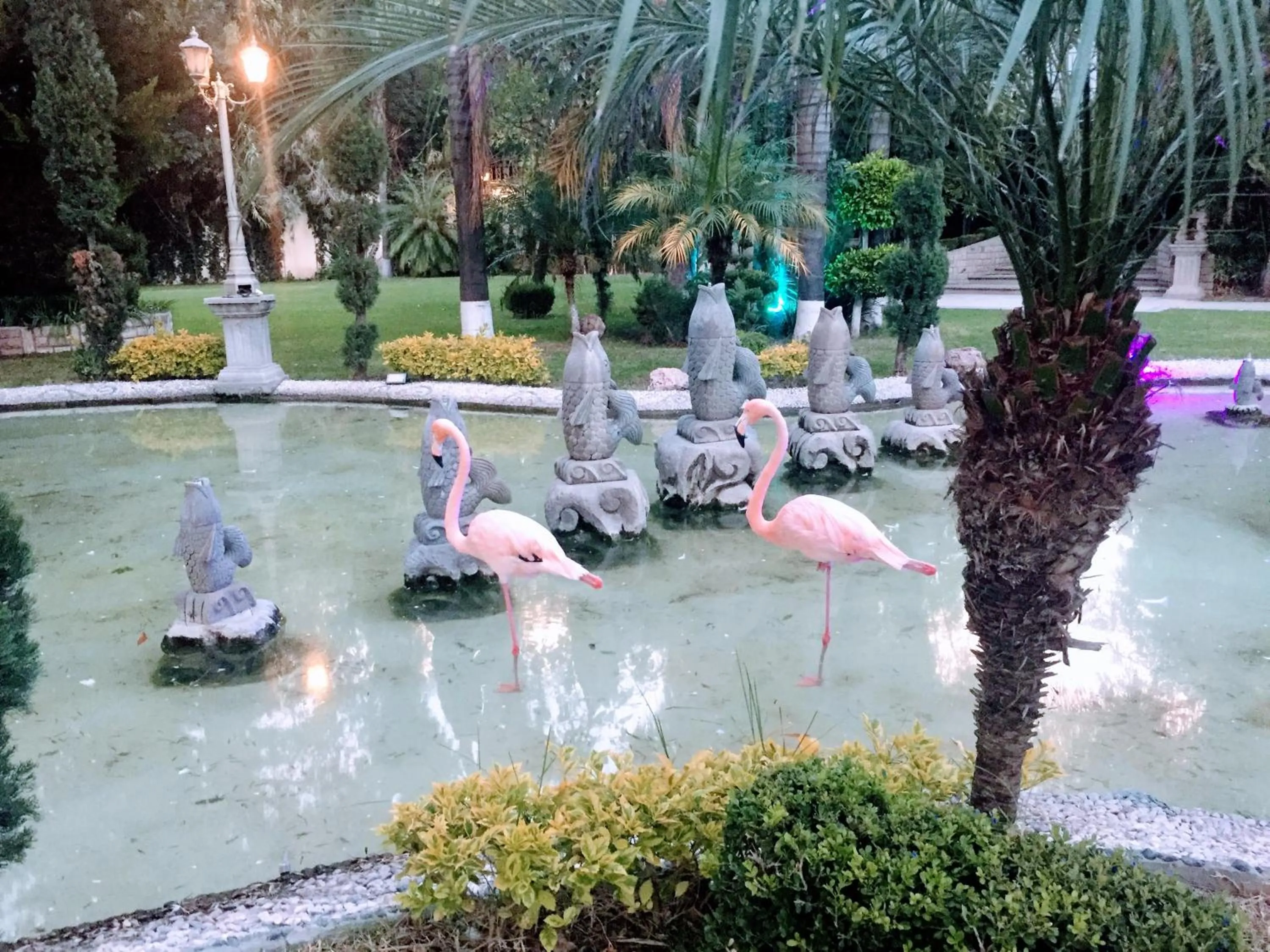 Animals in Gran Hotel Firenze