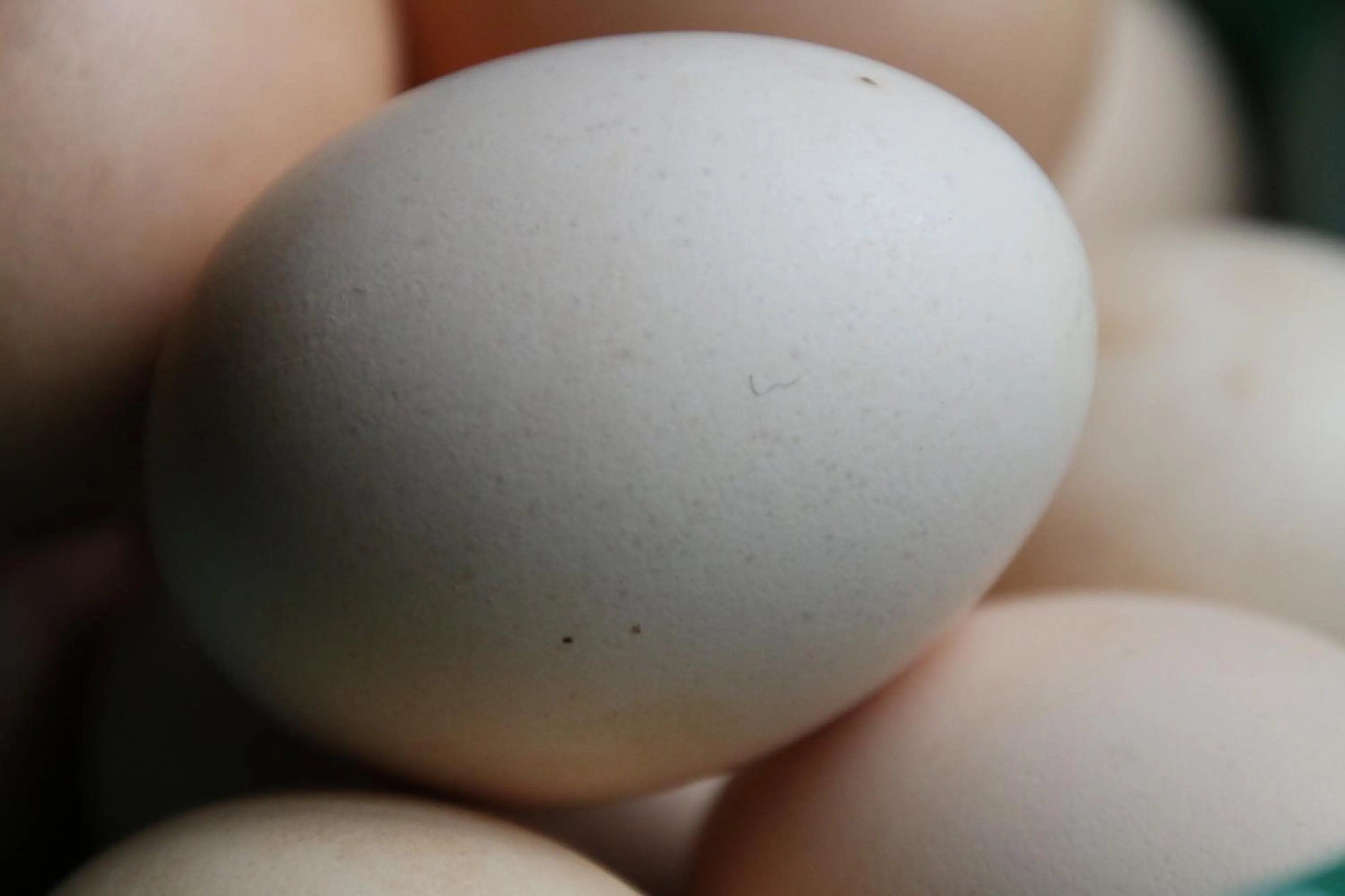 Food close-up in Gastenverblijf Eenink