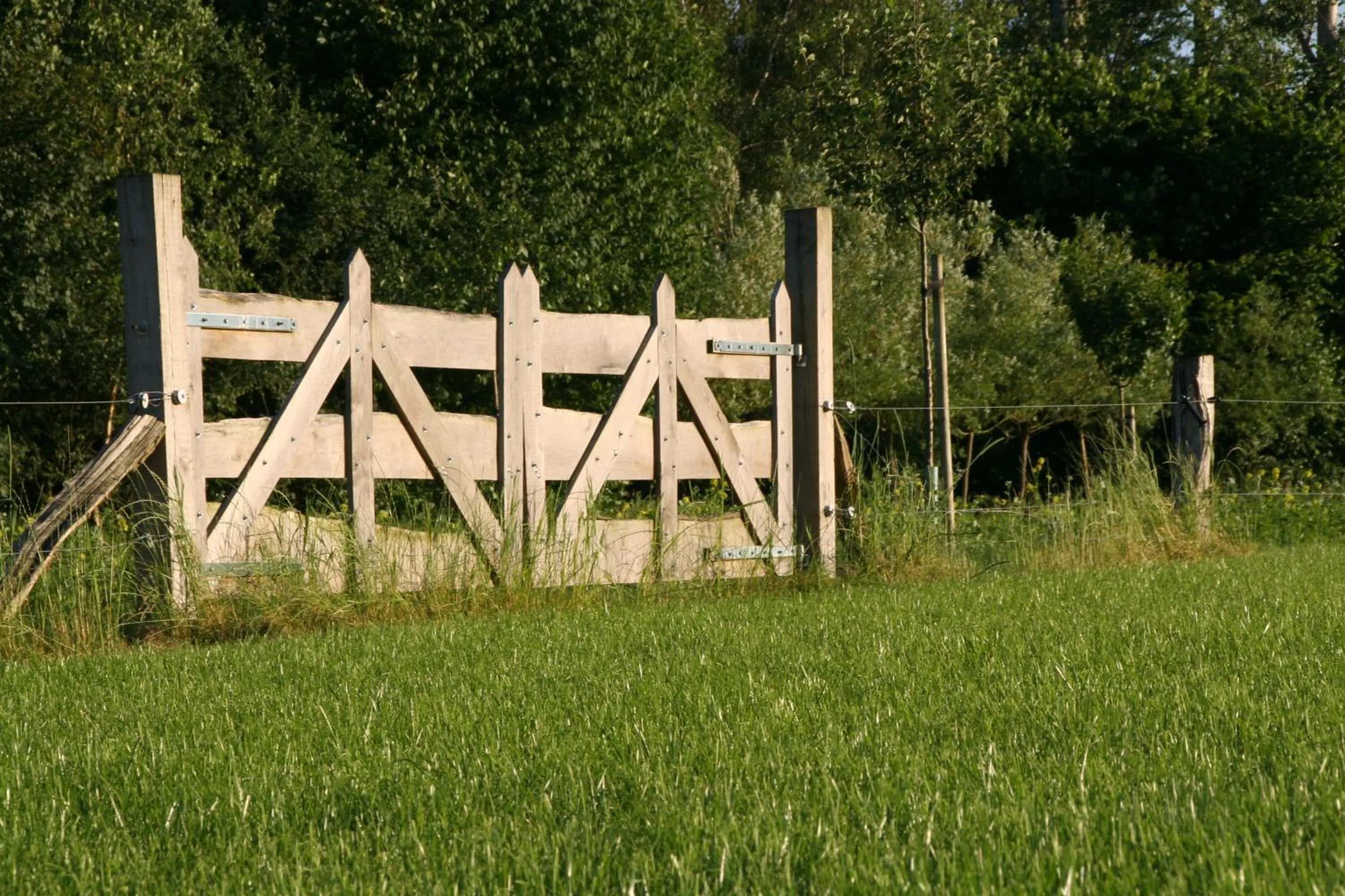 Day in Gastenverblijf Eenink