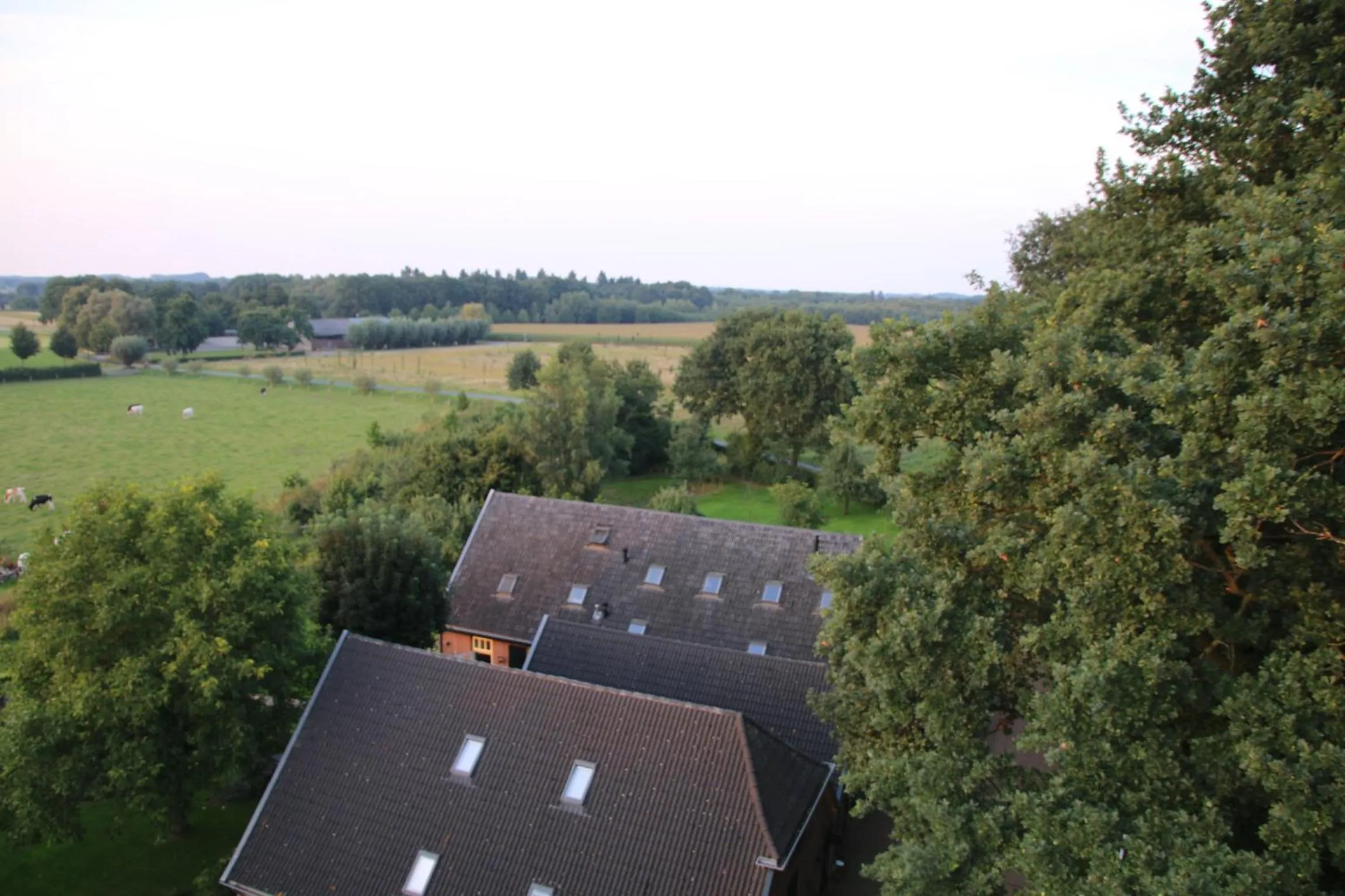 Natural landscape in Gastenverblijf Eenink
