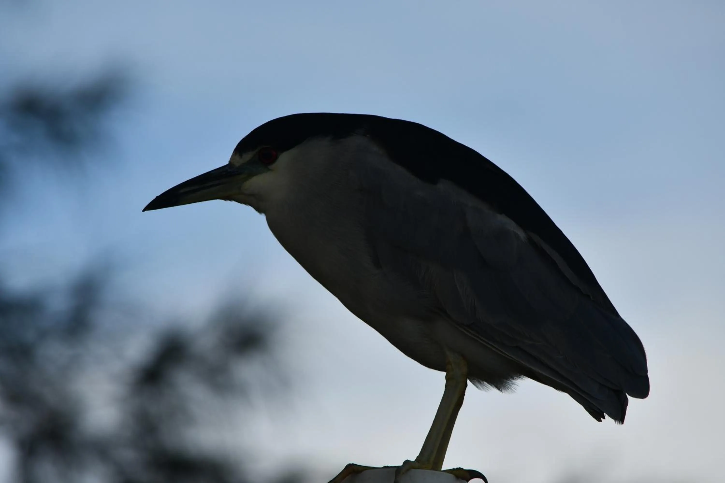 Pousada Barra Sul