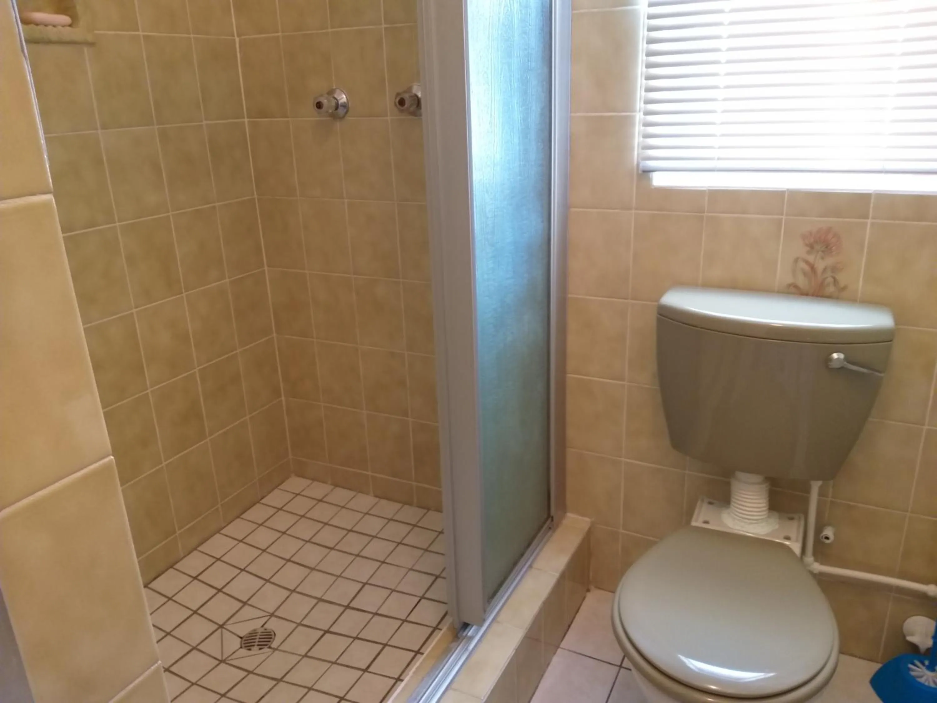 Shower in DJ'S B&B in Table View Cape Town