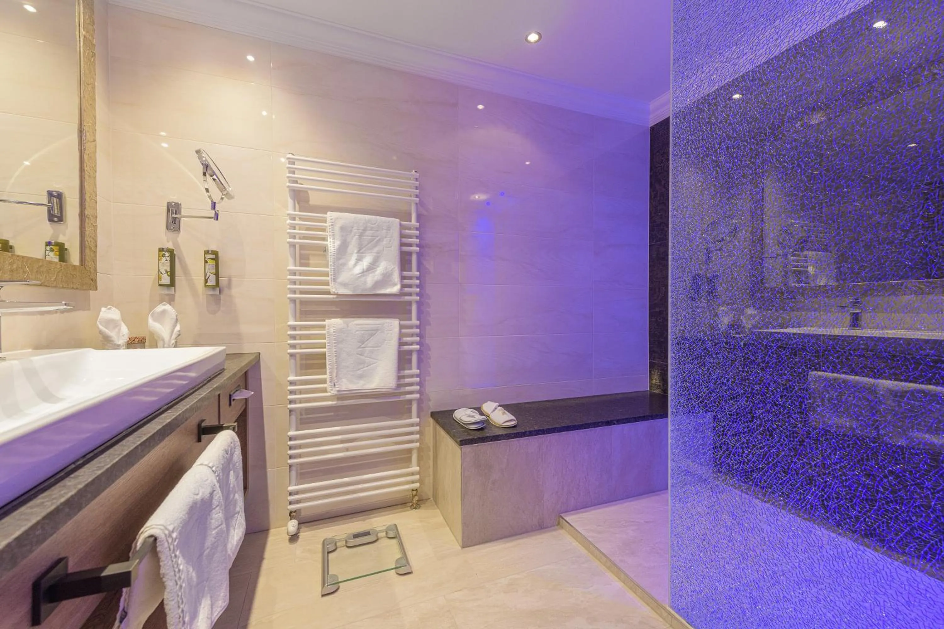 Shower in Hotel Alpina Wellness & Spa Resort
