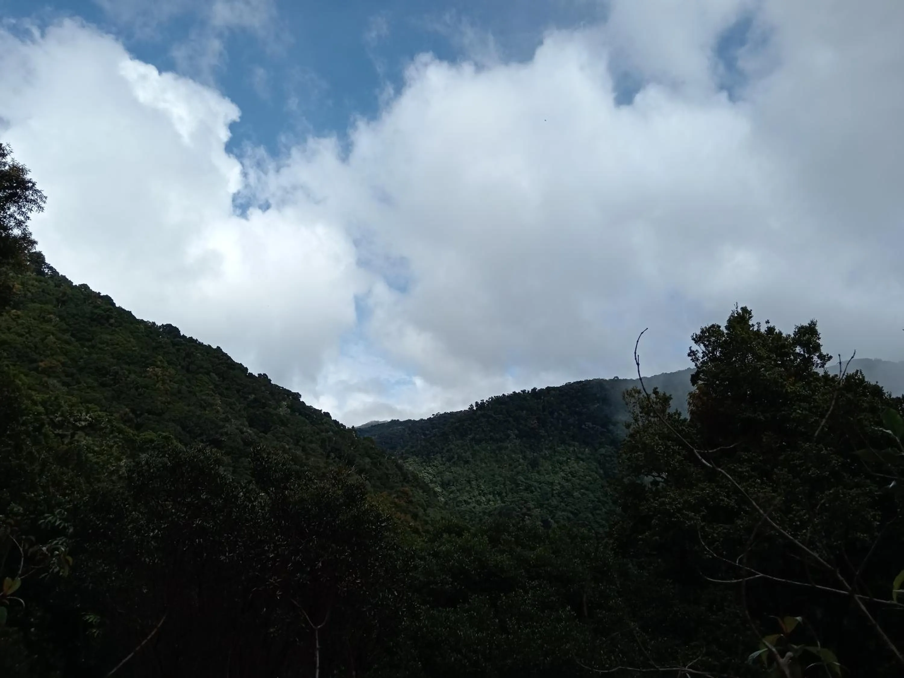 Miriam'S Quetzals lodge