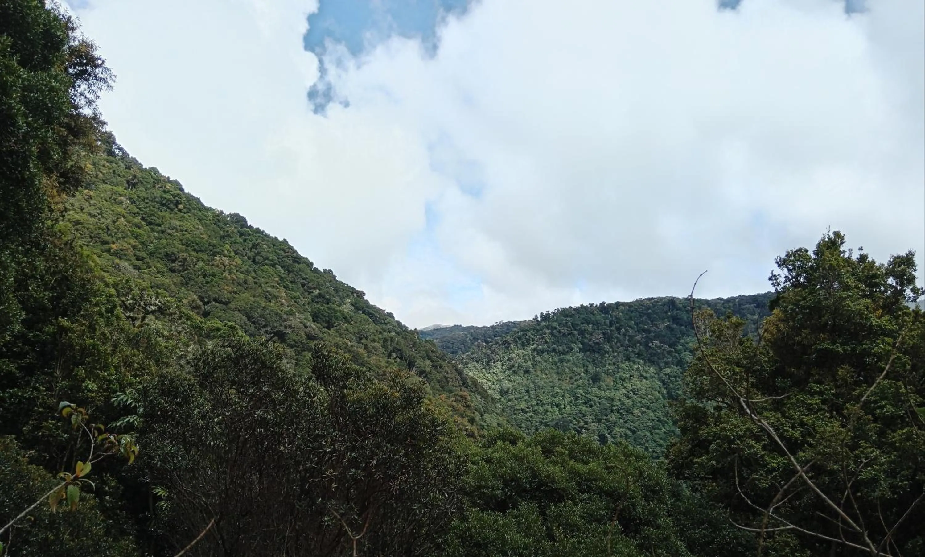 Miriam'S Quetzals lodge