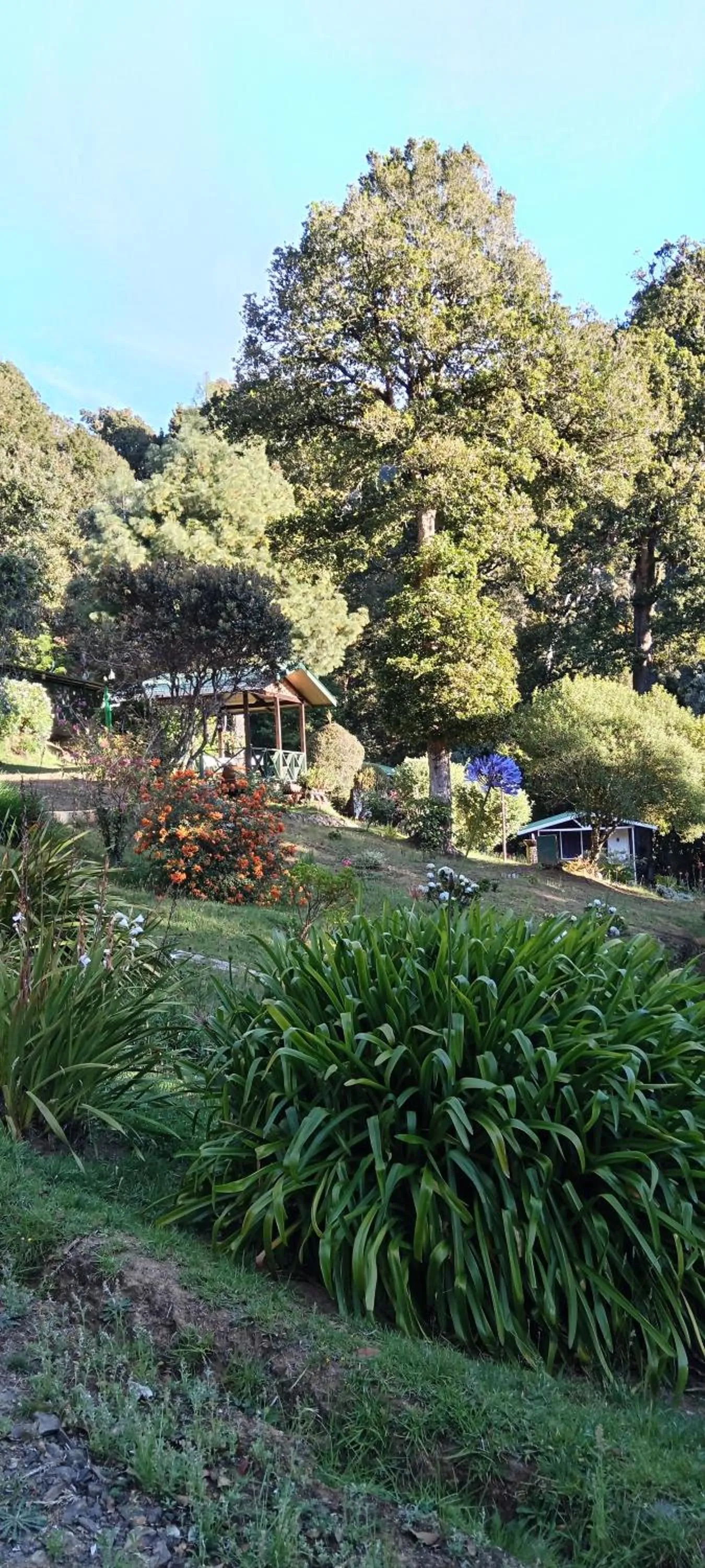 Miriam'S Quetzals lodge