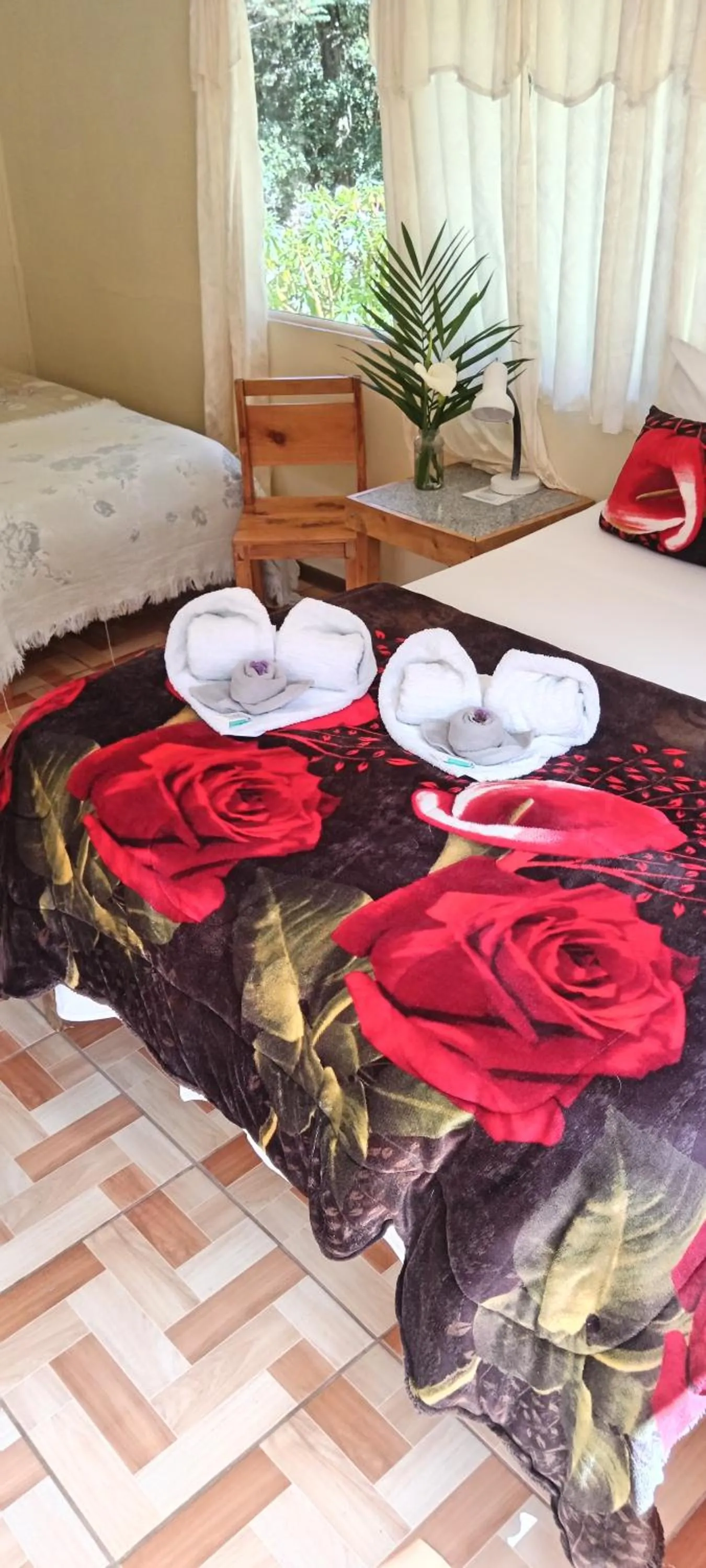 Miriam'S Quetzals lodge