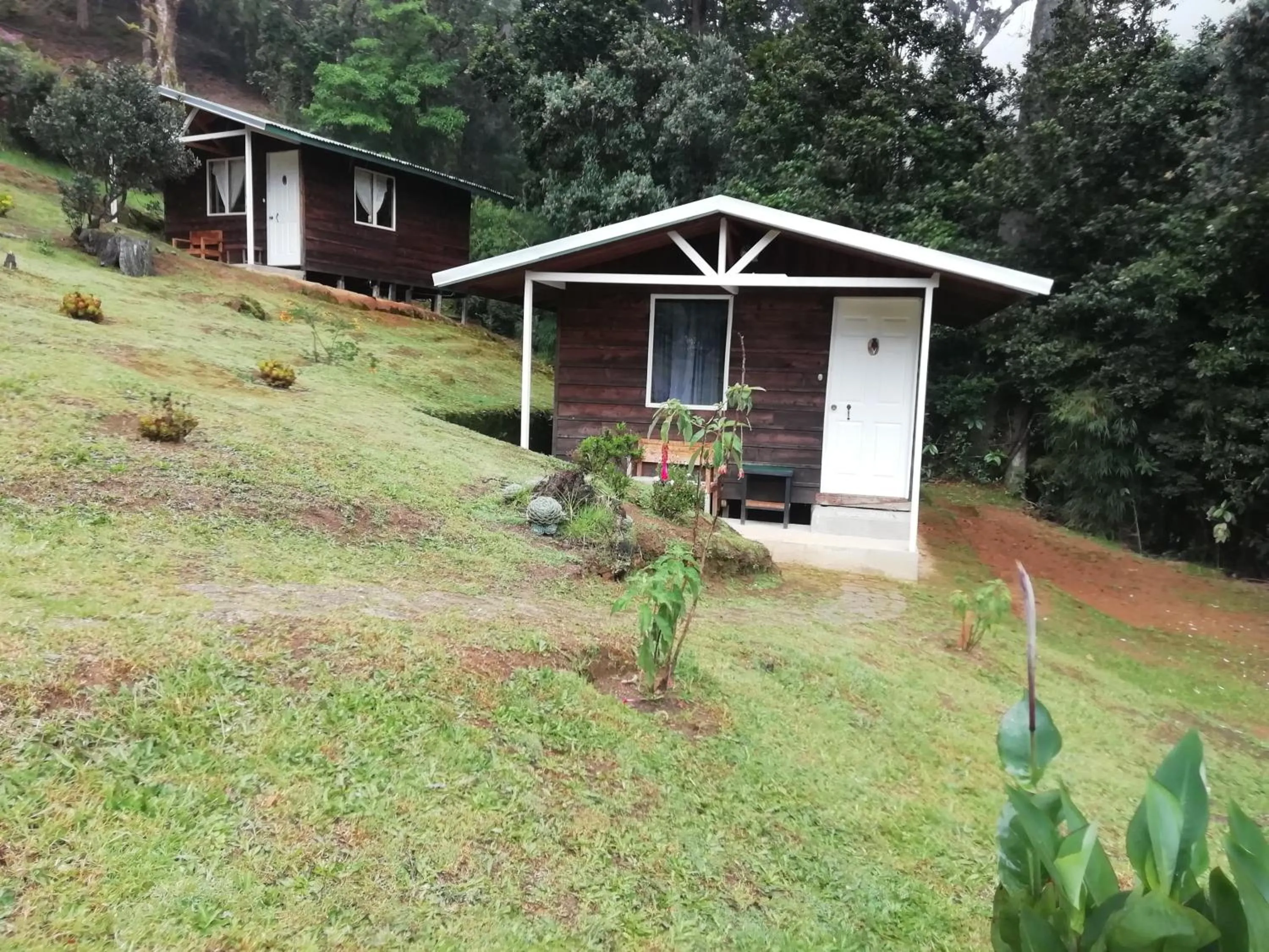 Miriam'S Quetzals lodge