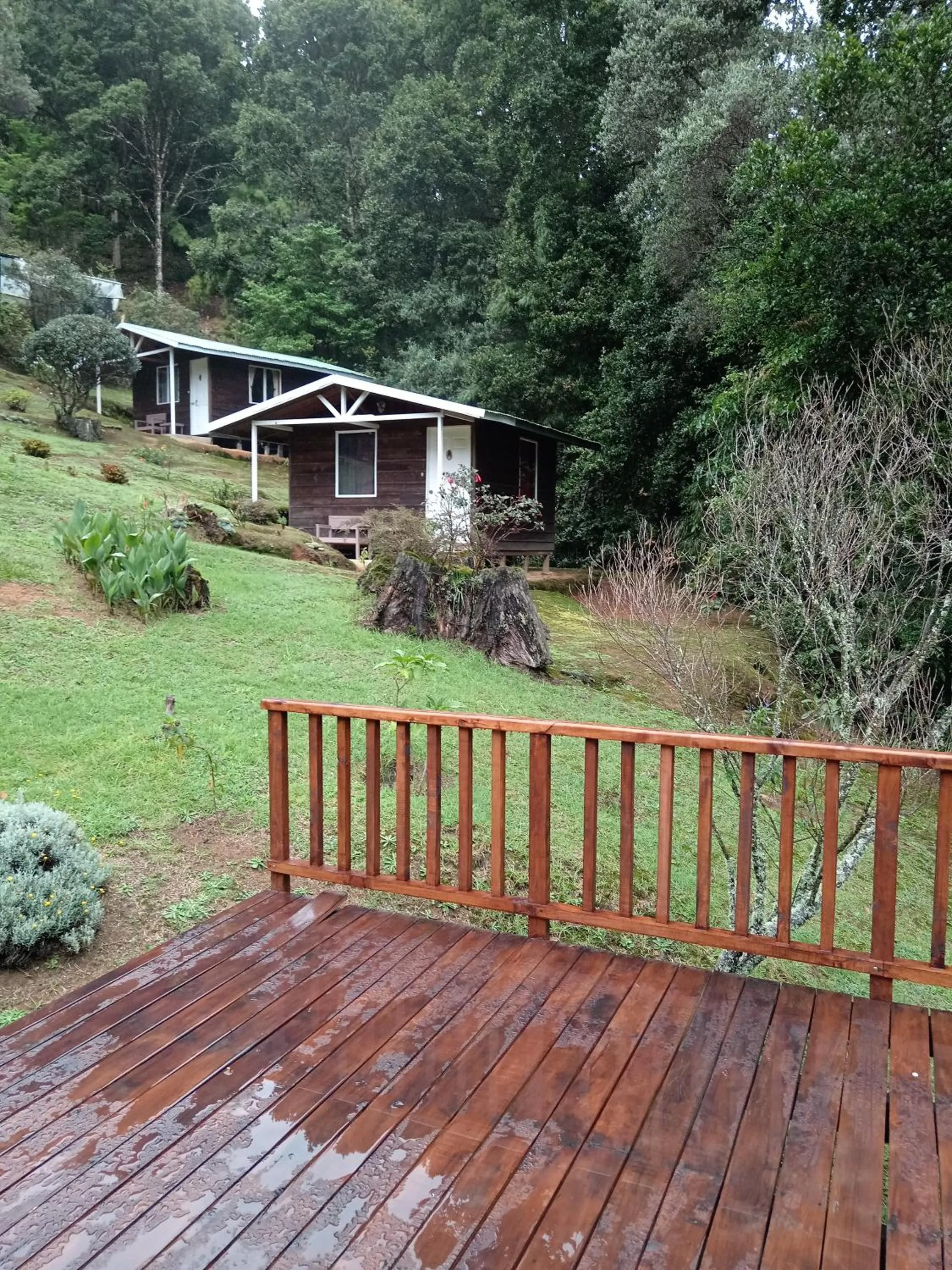Miriam'S Quetzals lodge