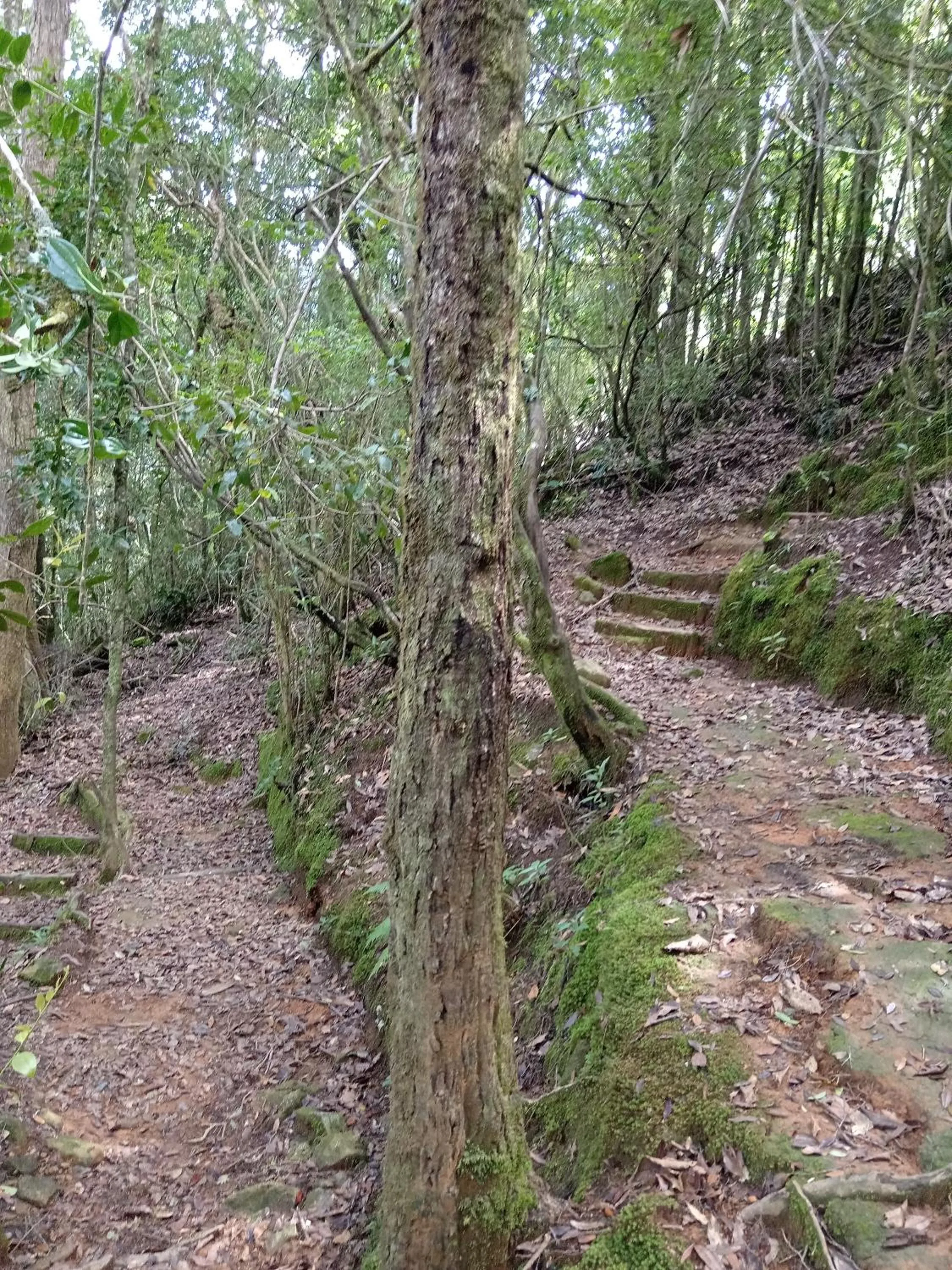 Miriam'S Quetzals lodge