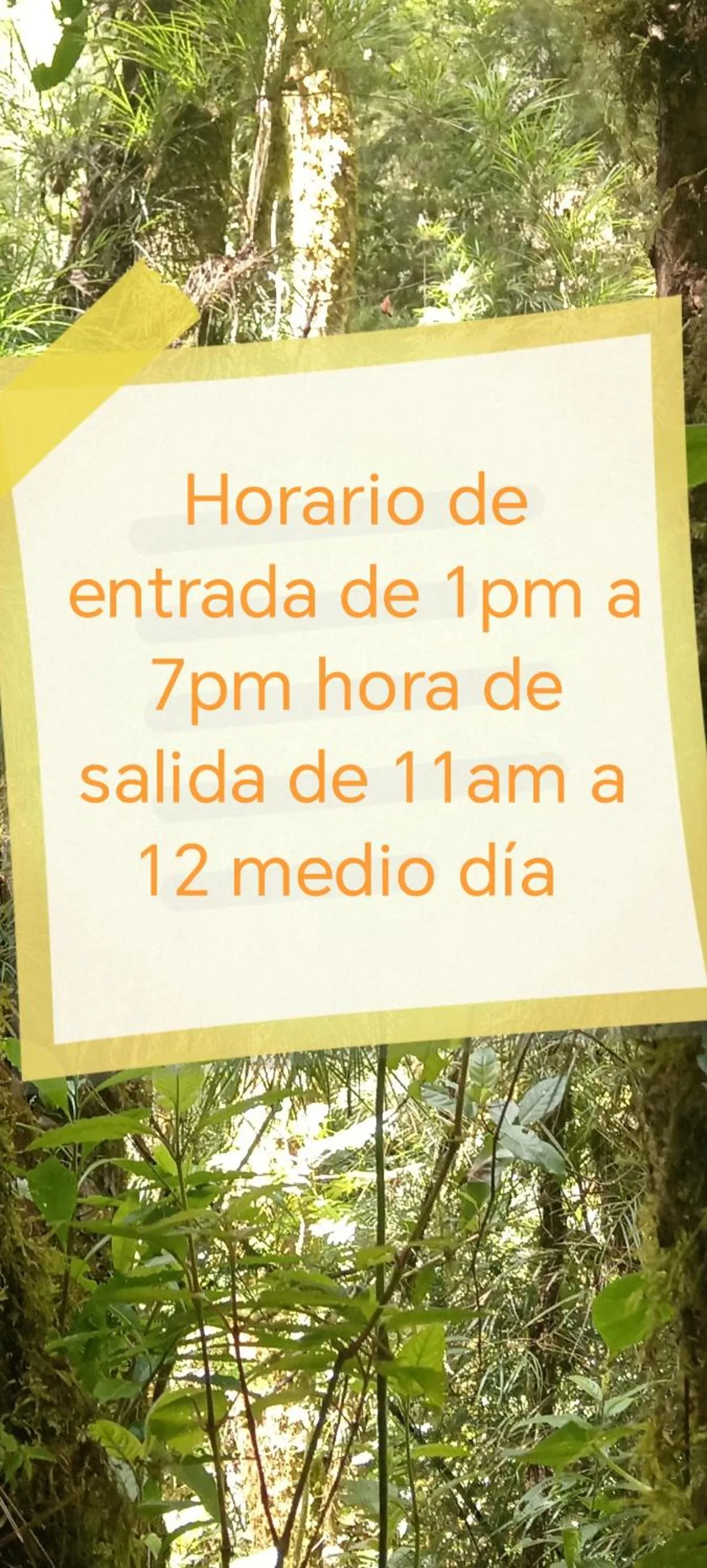 Miriam'S Quetzals lodge
