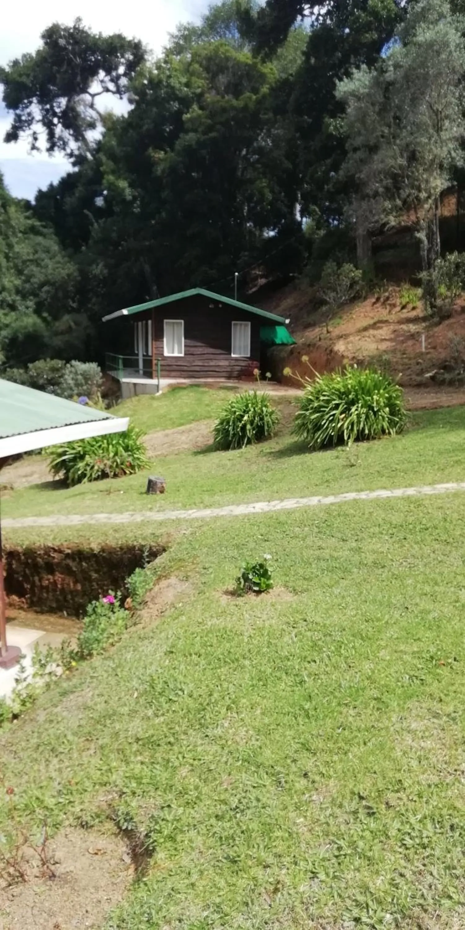 Garden in Miriam'S Quetzals lodge