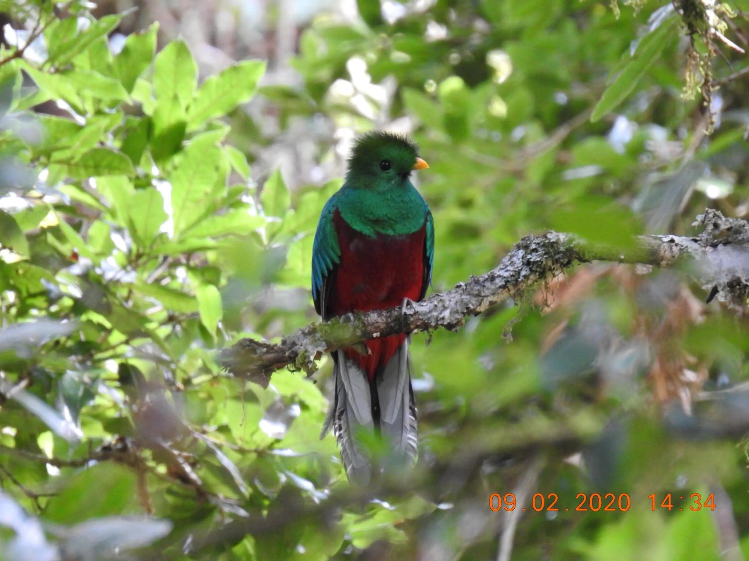 Natural landscape in Miriam'S Quetzals lodge