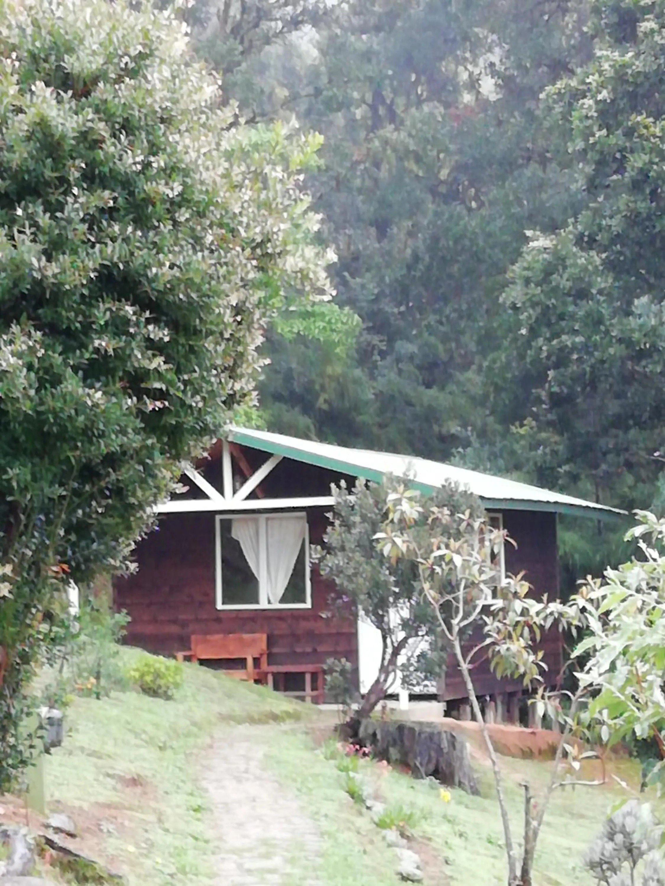 Miriam'S Quetzals lodge