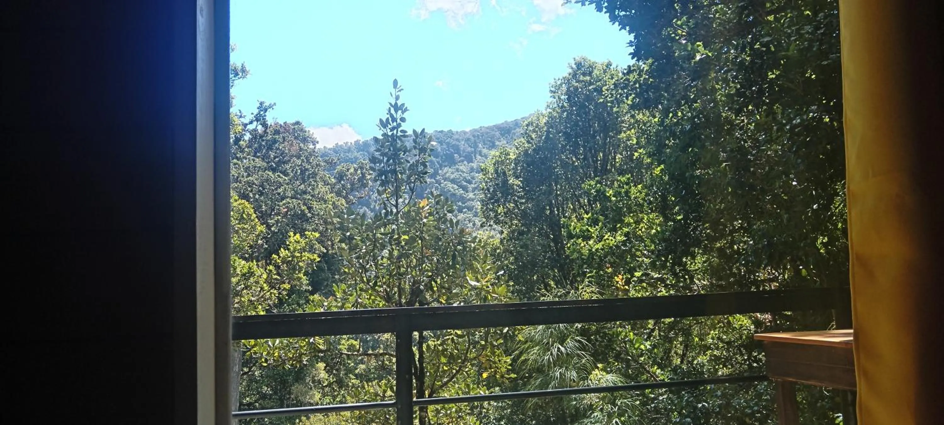 Balcony/Terrace in Miriam'S Quetzals lodge