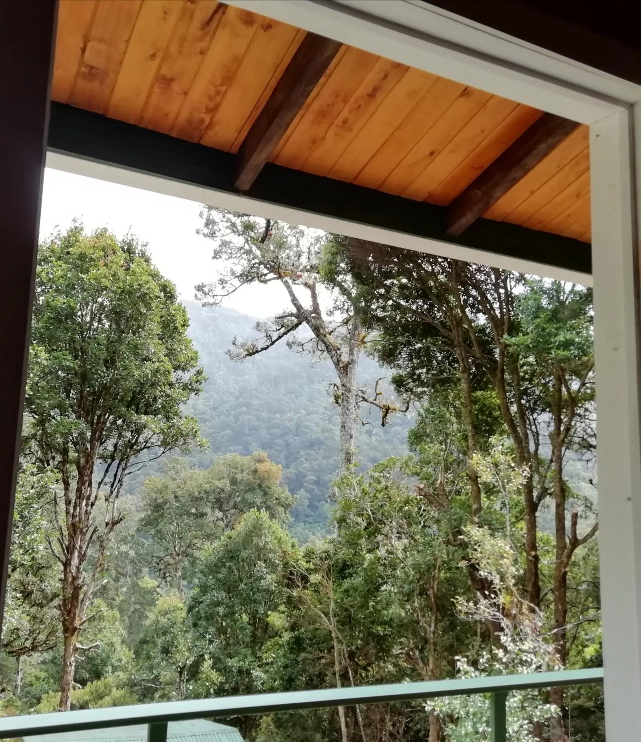 Bird's eye view in Miriam'S Quetzals lodge