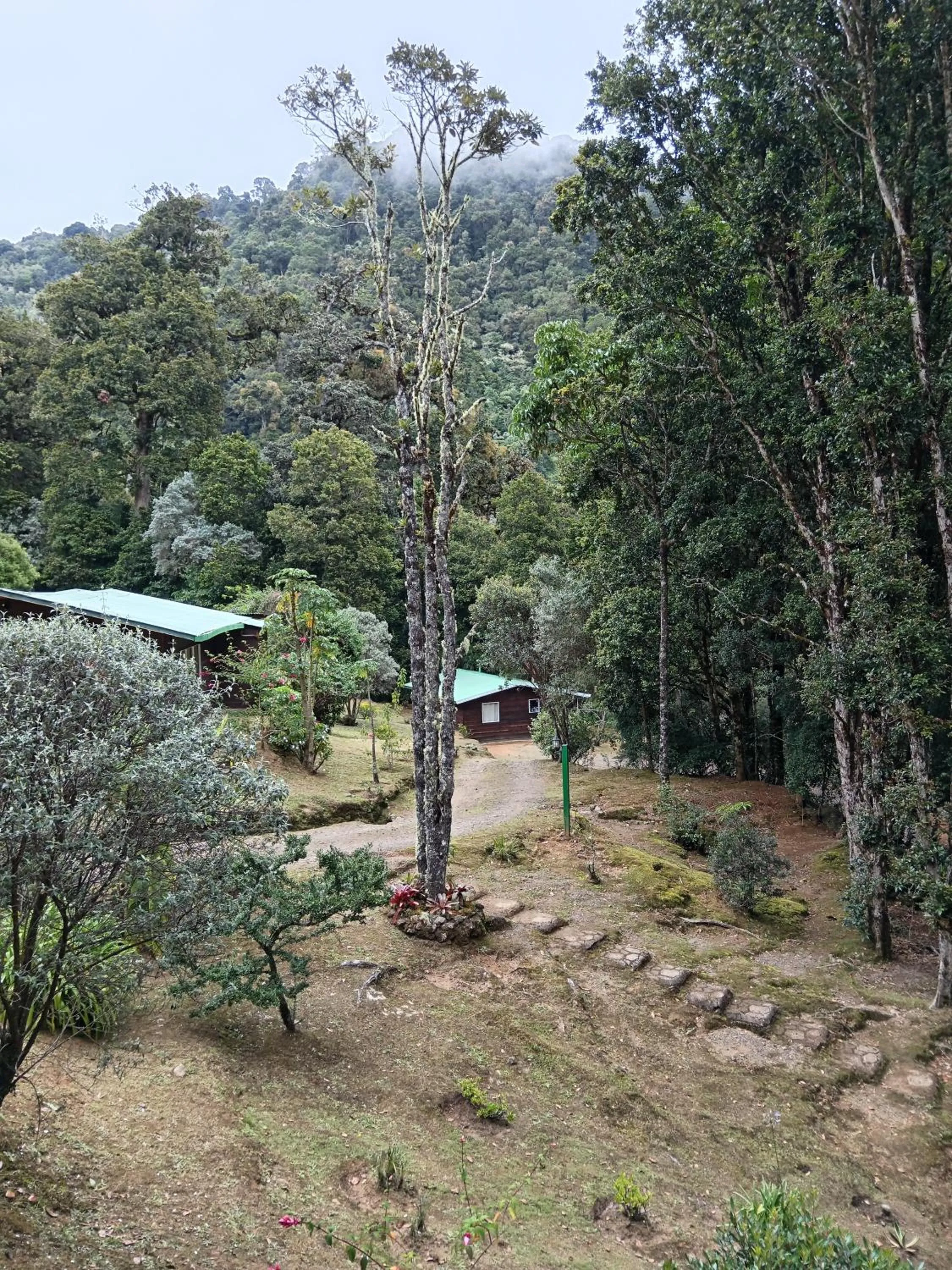 Miriam'S Quetzals lodge