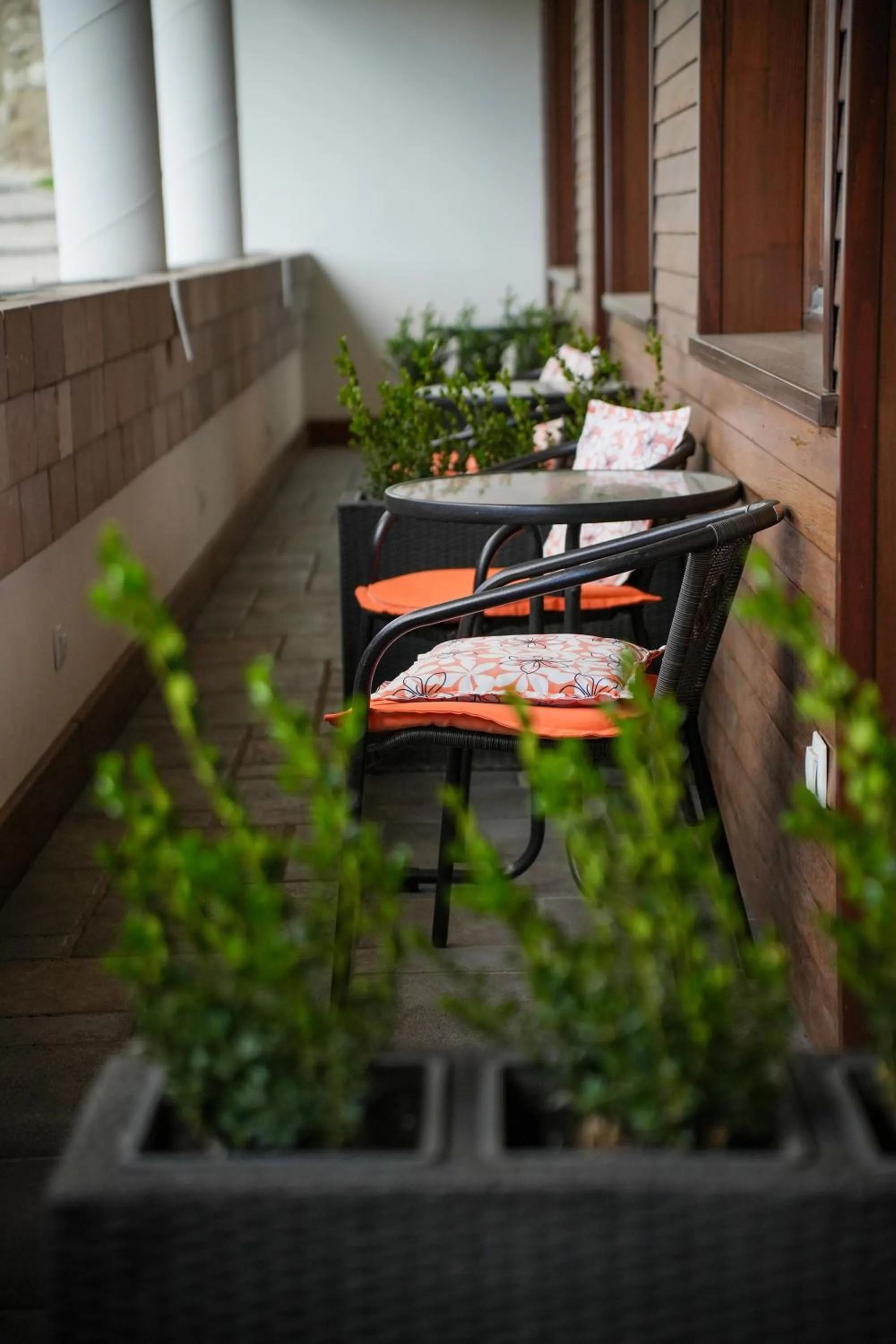 Balcony/Terrace in Imola Udvarház Dessert Hotel