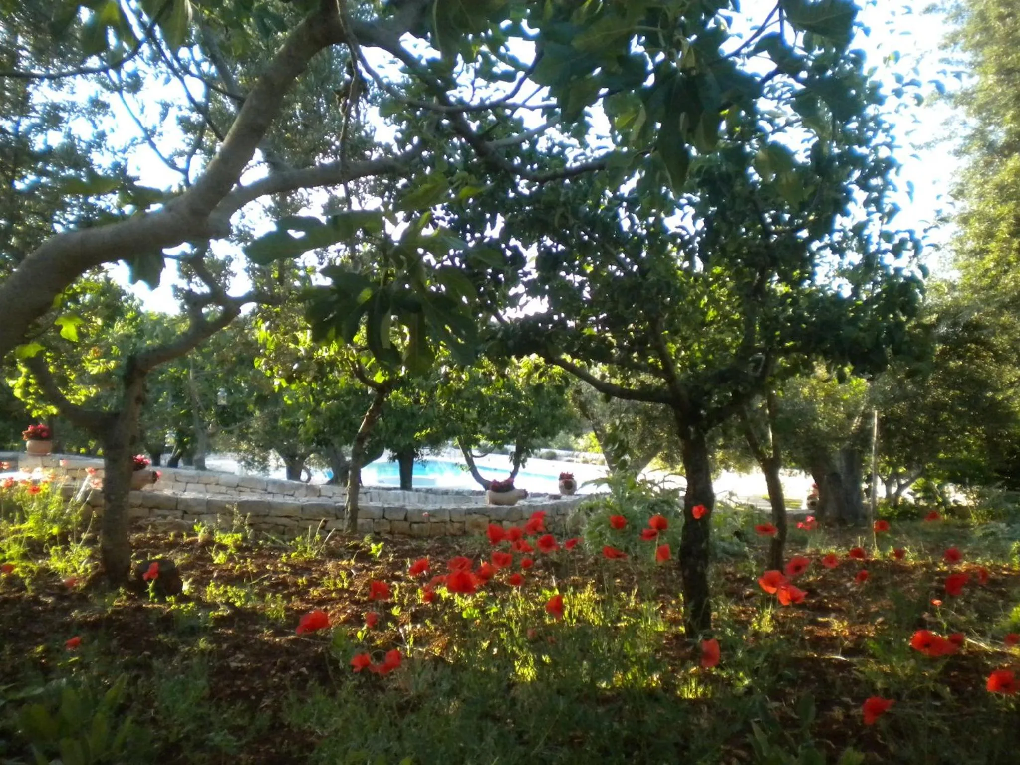 Garden in Truddhi Casa e Cucina di Puglia