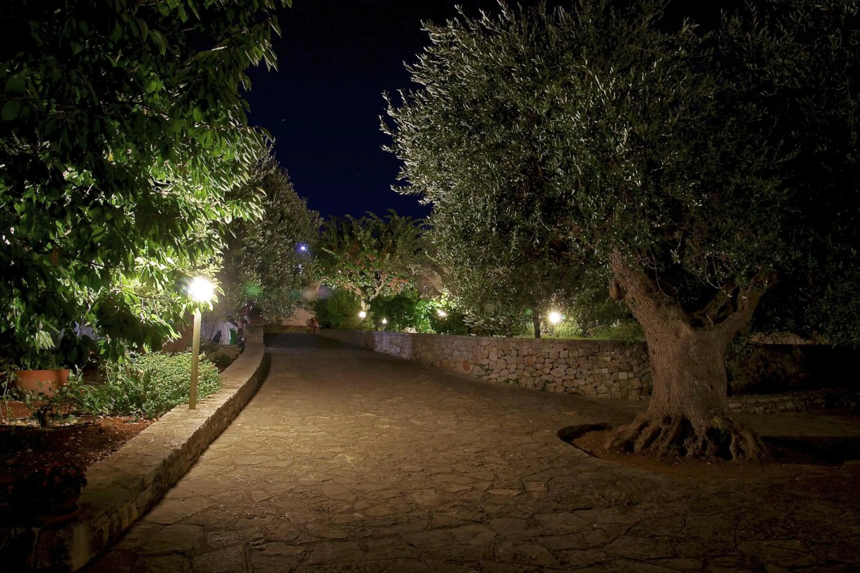 Garden in Truddhi Casa e Cucina di Puglia