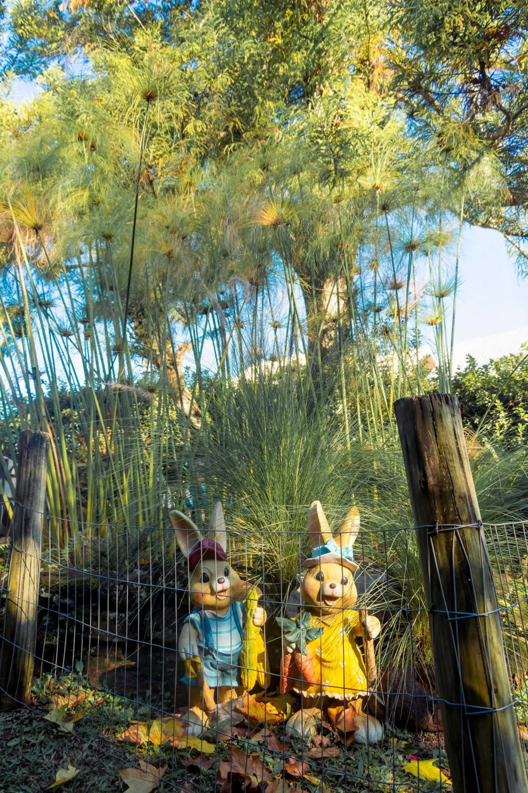 Inner courtyard view in Pousada dos Plátanos
