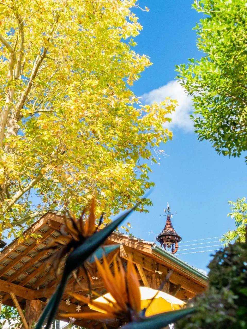 Property building in Pousada dos Plátanos