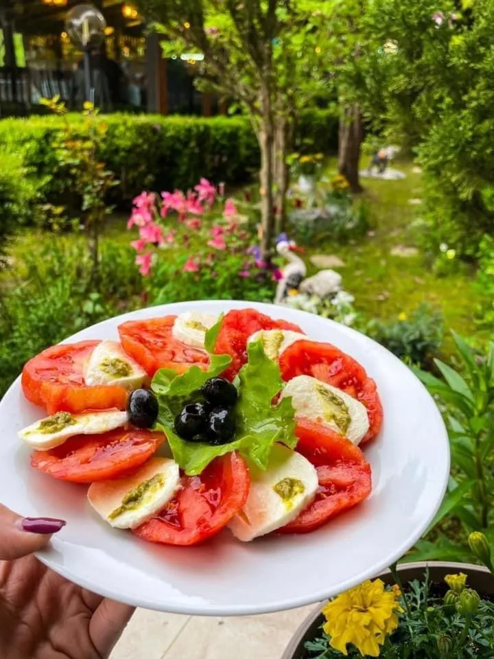 Garden in Family Hotel Enica