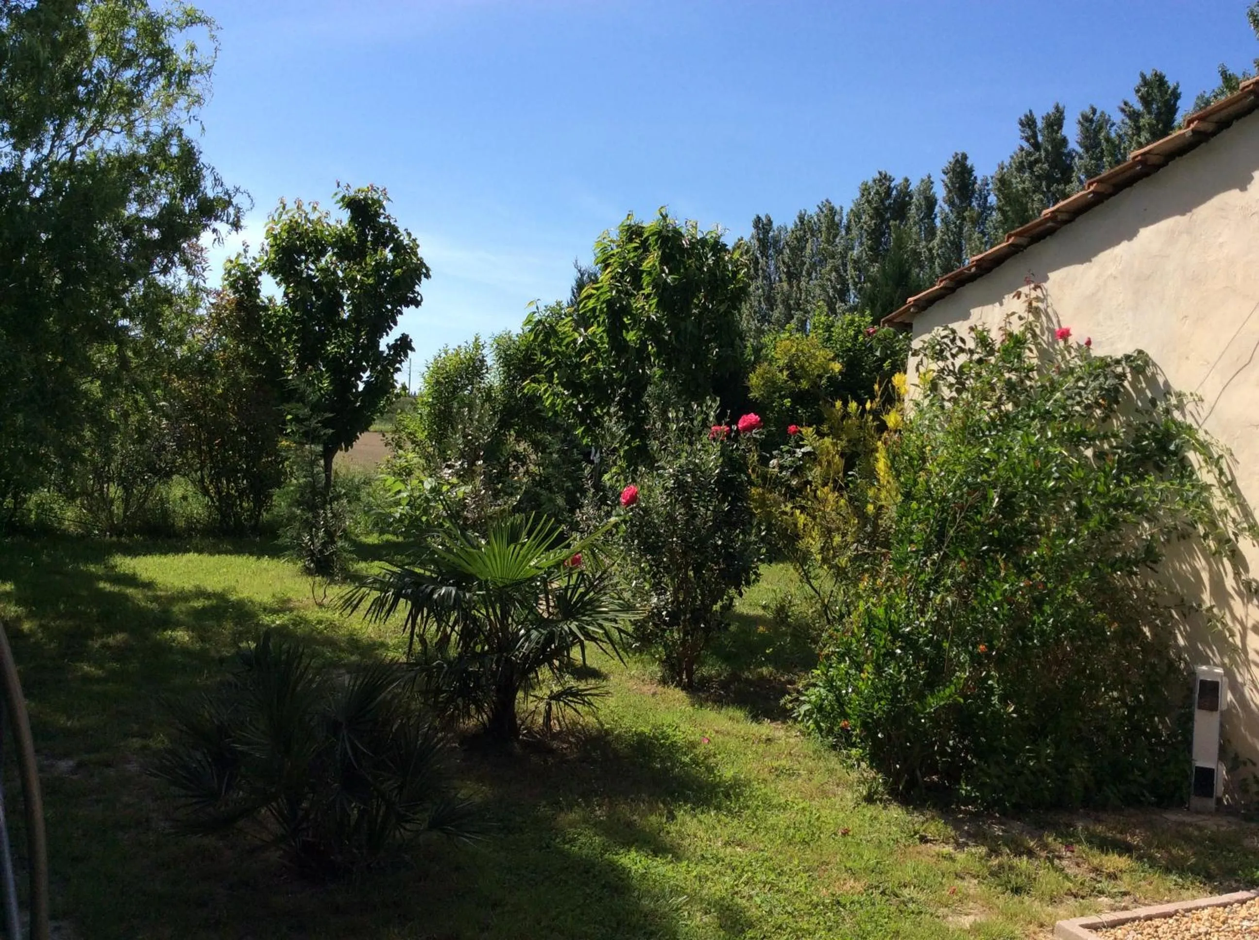 Garden in Mas du Puits d'Amour